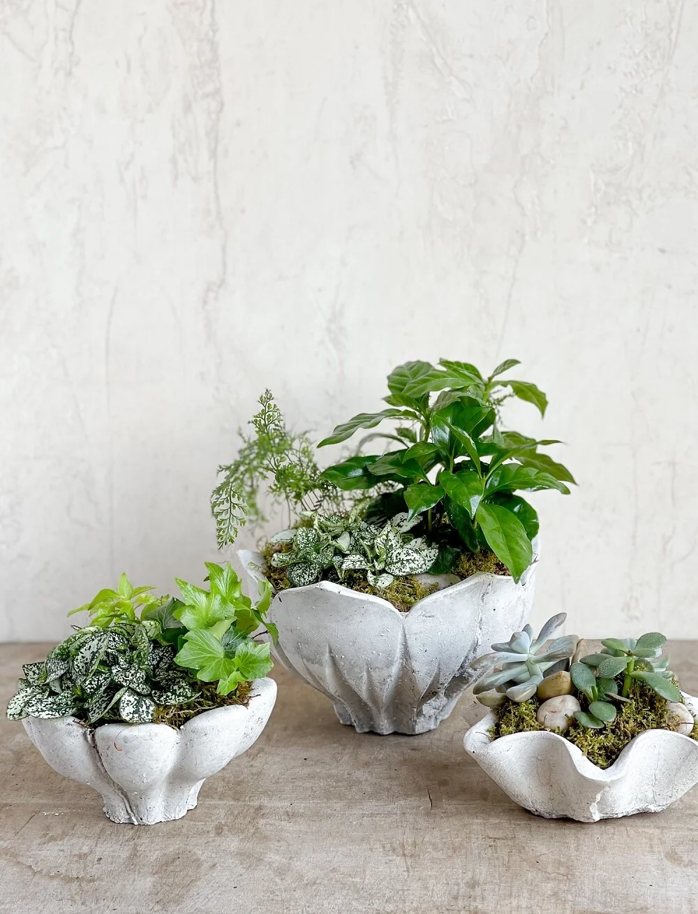 ceramic plant pot green