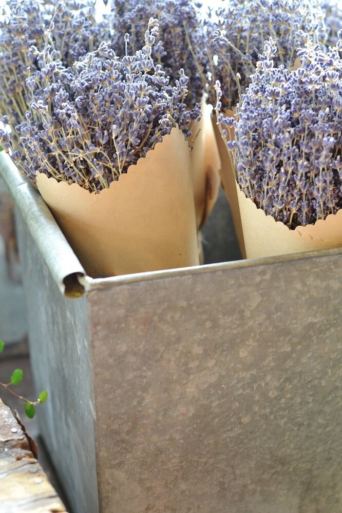Dried Lavender - Article onThursd