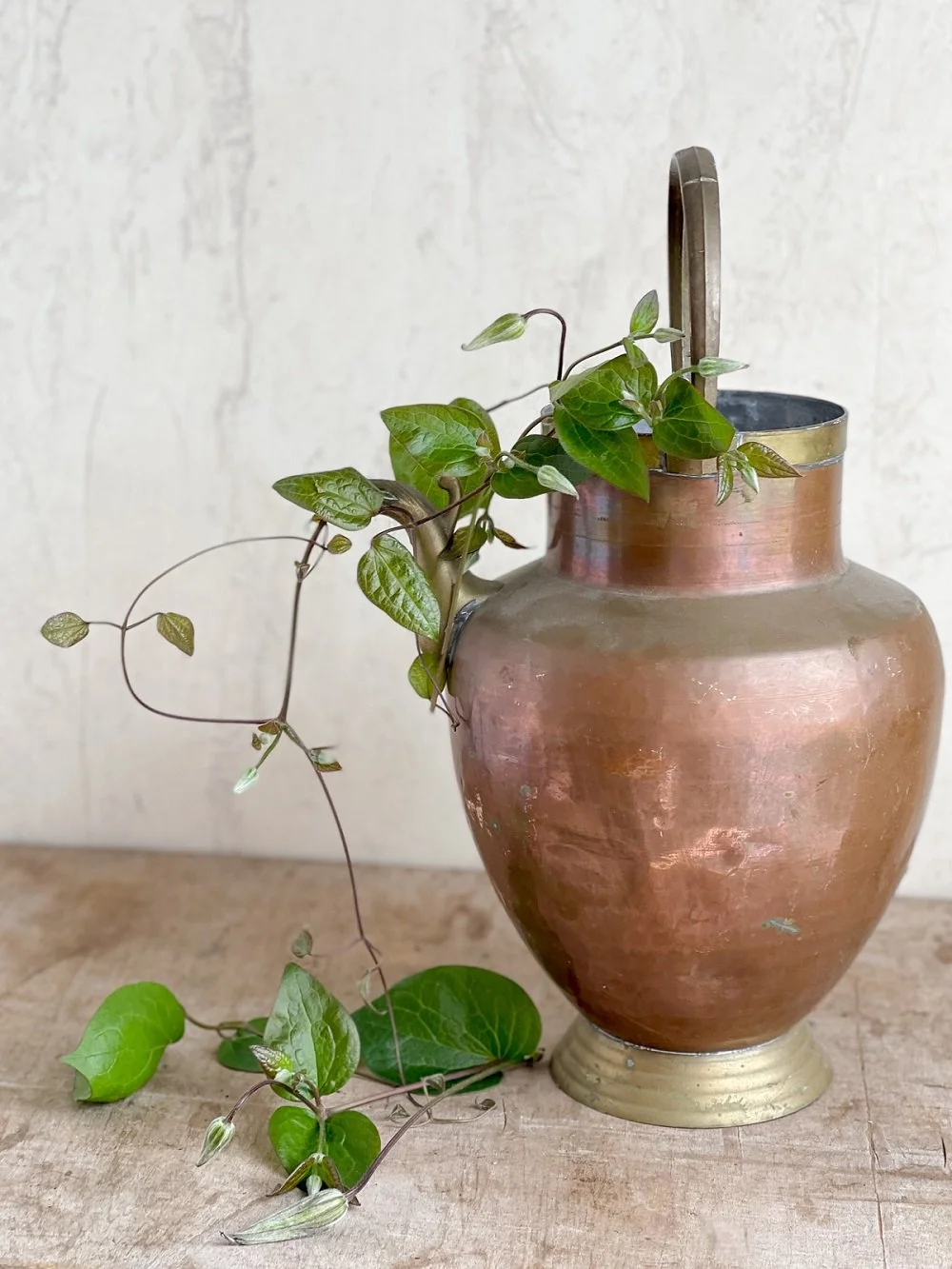 antique-french-copper-brass-jug-pitcher-fish-spout (3).jpg