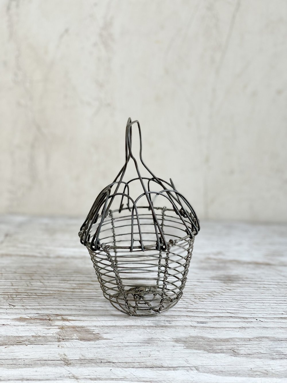 Chicken Wire Egg Basket With Handles and Includes EGGS / Wire