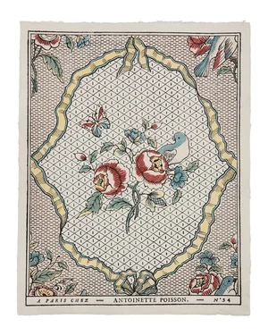 Antoinette Poisson French Domino Paper - 54A Rubans et Oiseaux  