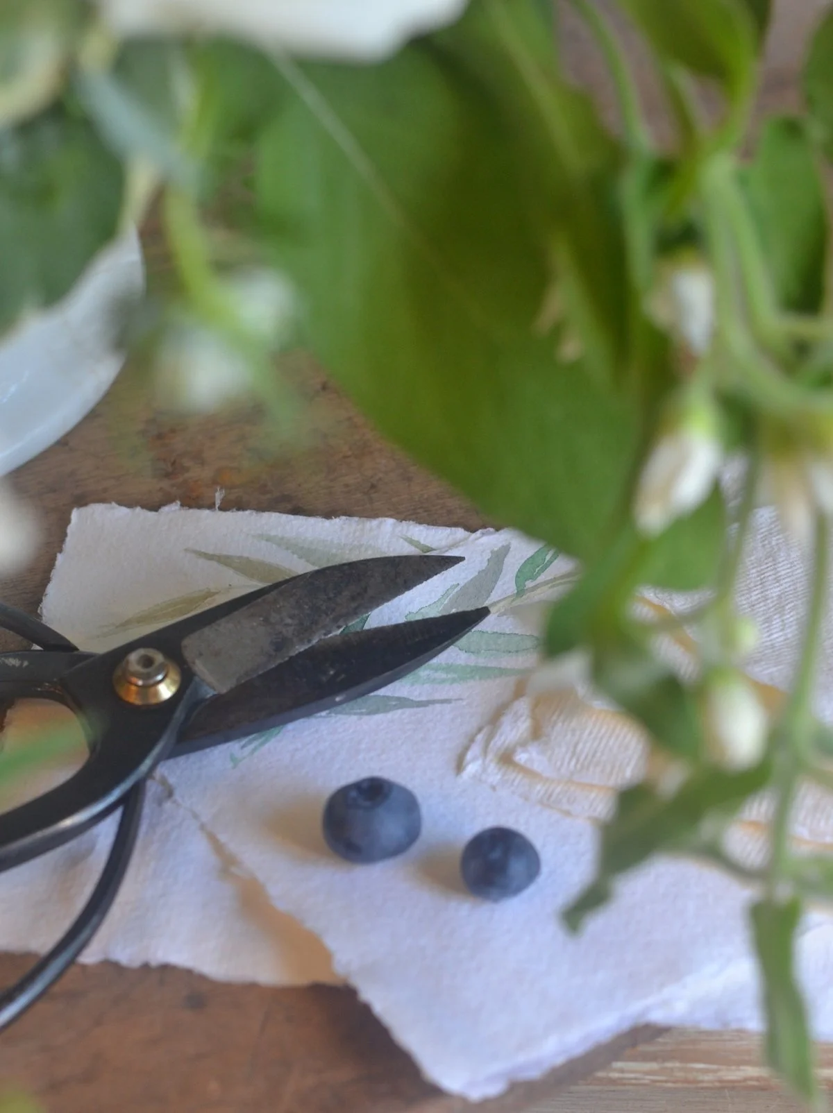 floral-shears-flower-trimming-cutting-arranging-tools.JPG