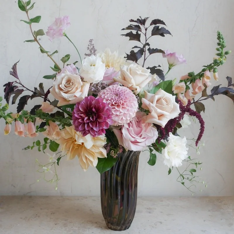 Marie-Antoinette-M- 26049