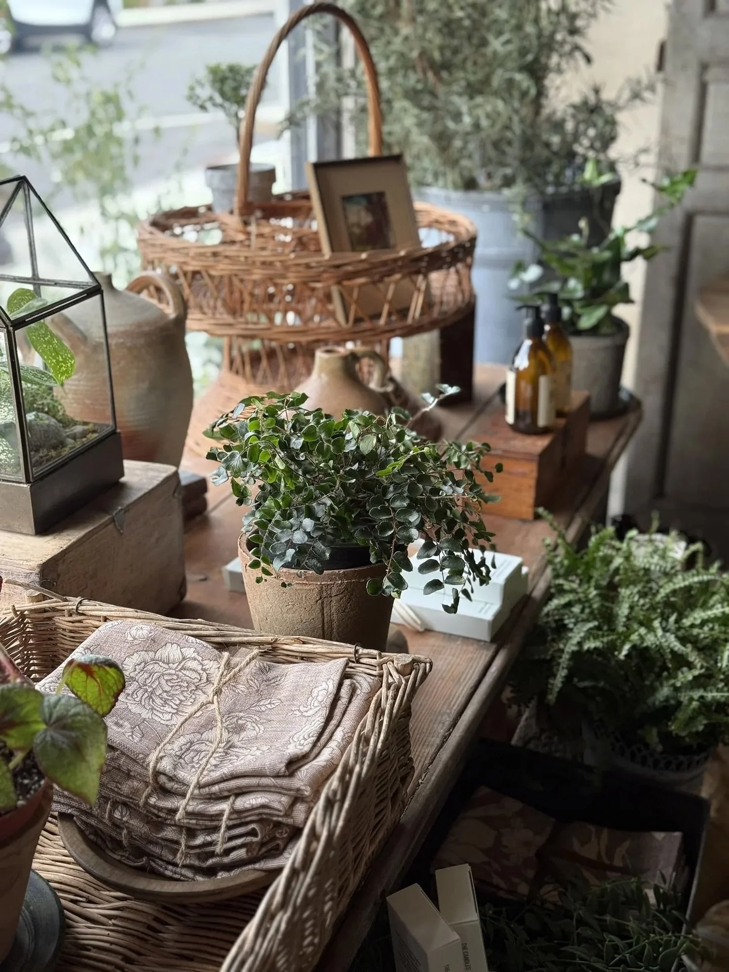 Serene shop corners 🪴
There’s something about dried flowers in the fall that always looks so charming!