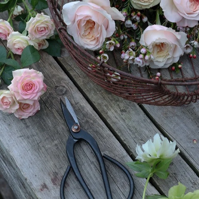 Floral Masterclass: MFA Boston