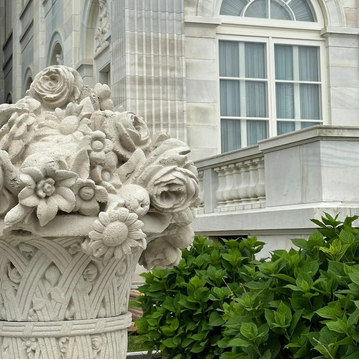 The 2024 Newport Flower Show