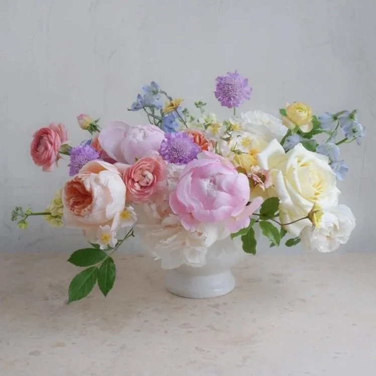 Maison Rose -M- 22920