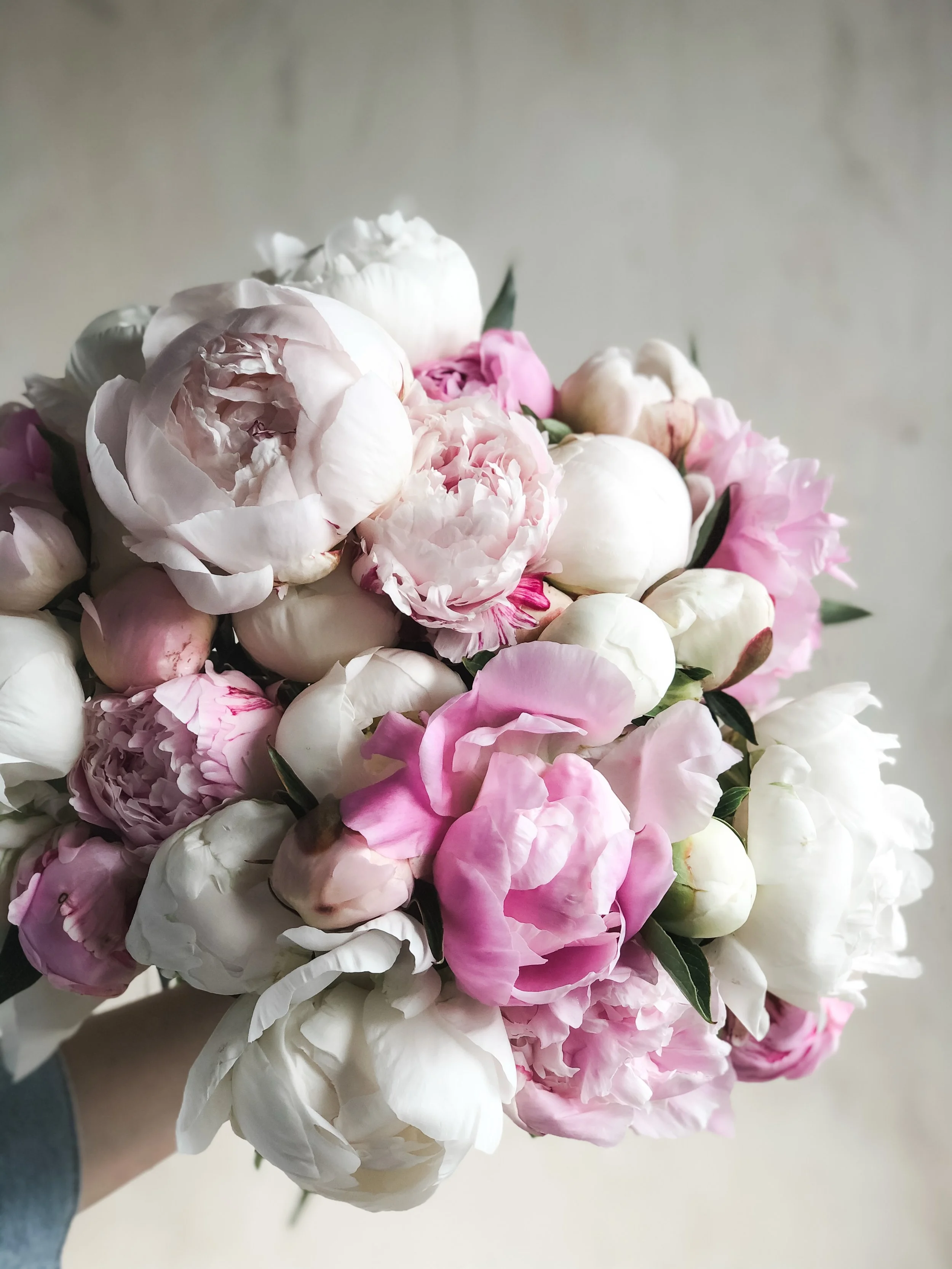 Happy Sunday. 🌿

It&rsquo;s peony season, and these lovelies are coming in steady&hellip;Duchesse de Nemours, Princess Bride, and Sarah Bernhardt and so many more varieties.
Carefully harvested from Sandra&rsquo;s garden and making their way into bo