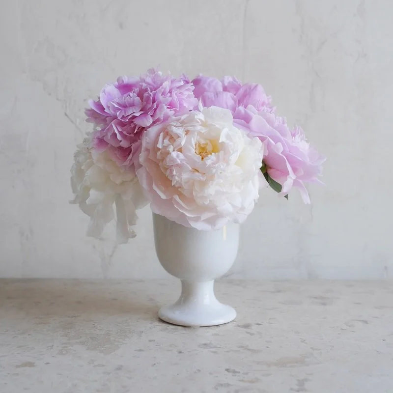 Fleurs de Pivoine 28999