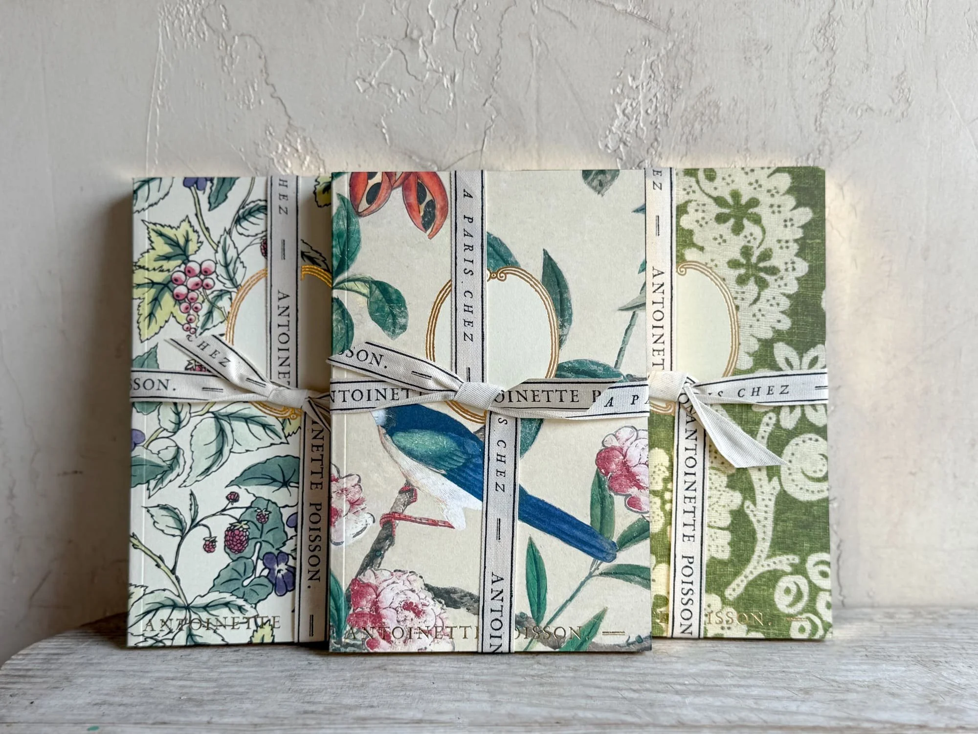 domino paper notebooks antoinette poisson paris france