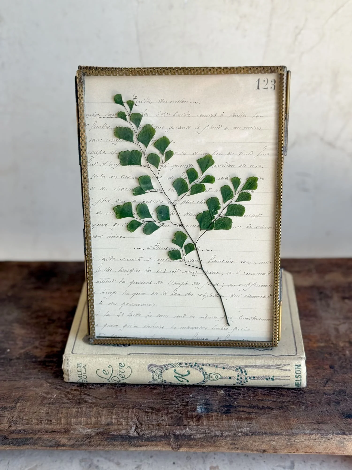 framed-botanical-pressed-fern-french-book-of-trees-hand-written-page-123.jpg