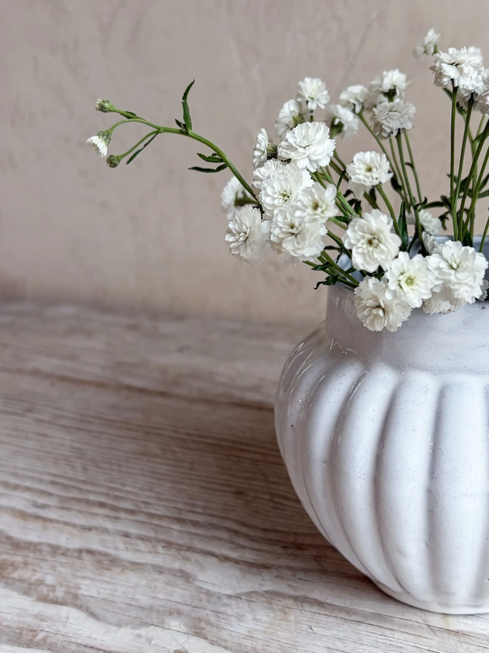 Reves d'Argile Melon Vase |  White Majolica Glazed Provence Pottery