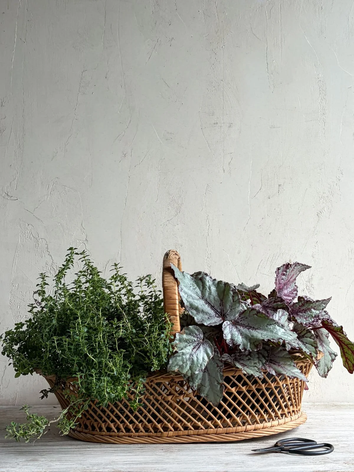 vintage-lattice-rattan-wicker-braided-basket (5).jpg
