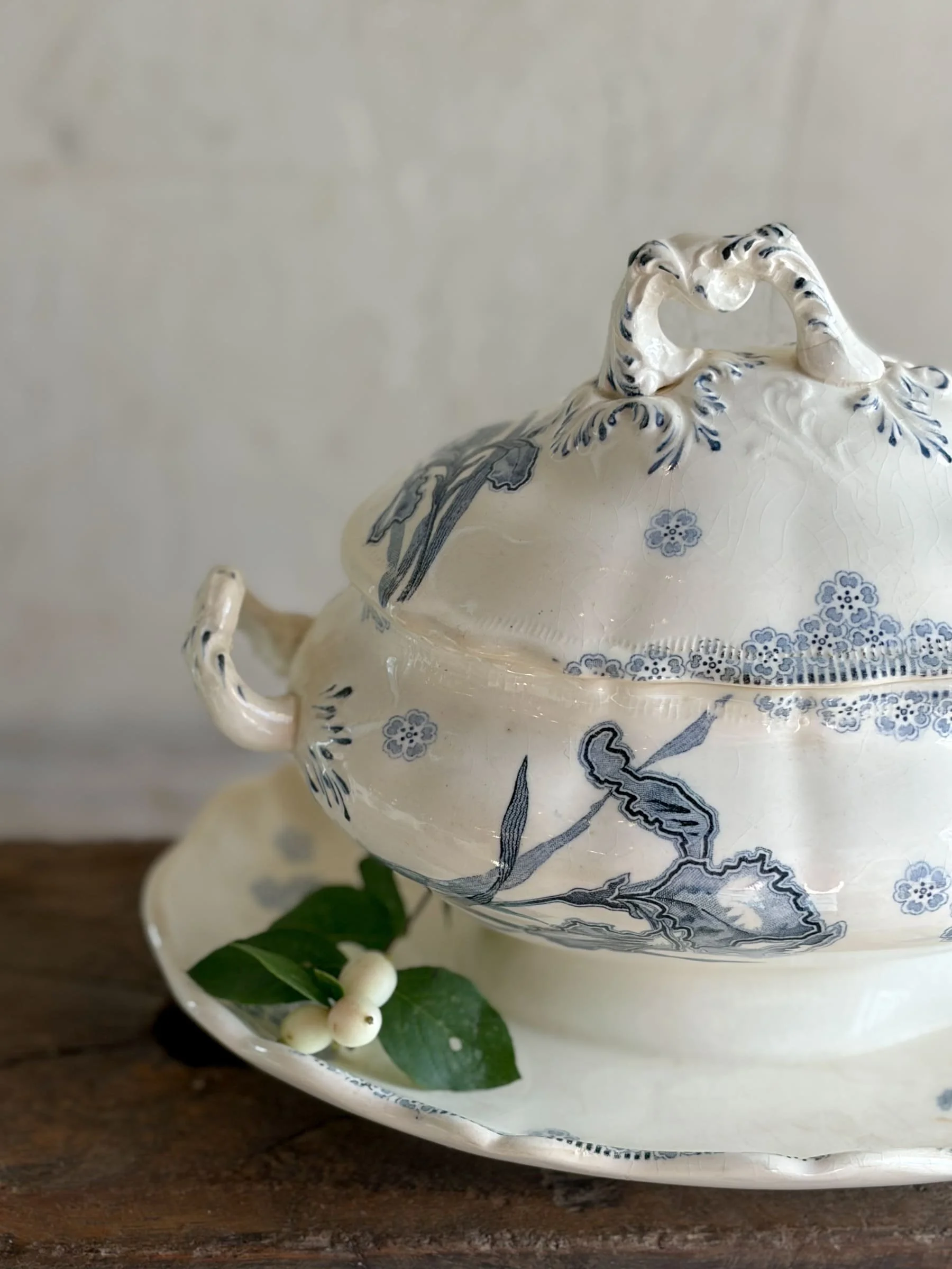 French Ironstone Terre de Fer Blue Transferware Plated Tureen | Franco-Anglaise