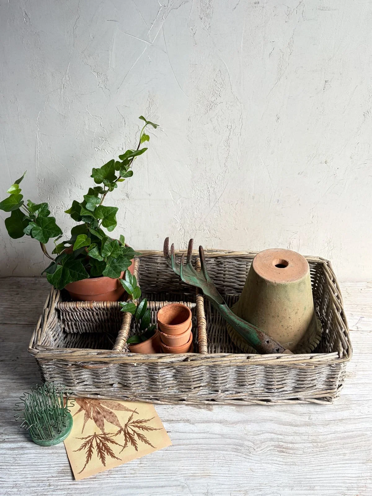 antique-french-wicker-sectioned-bottle-basket (1).jpg