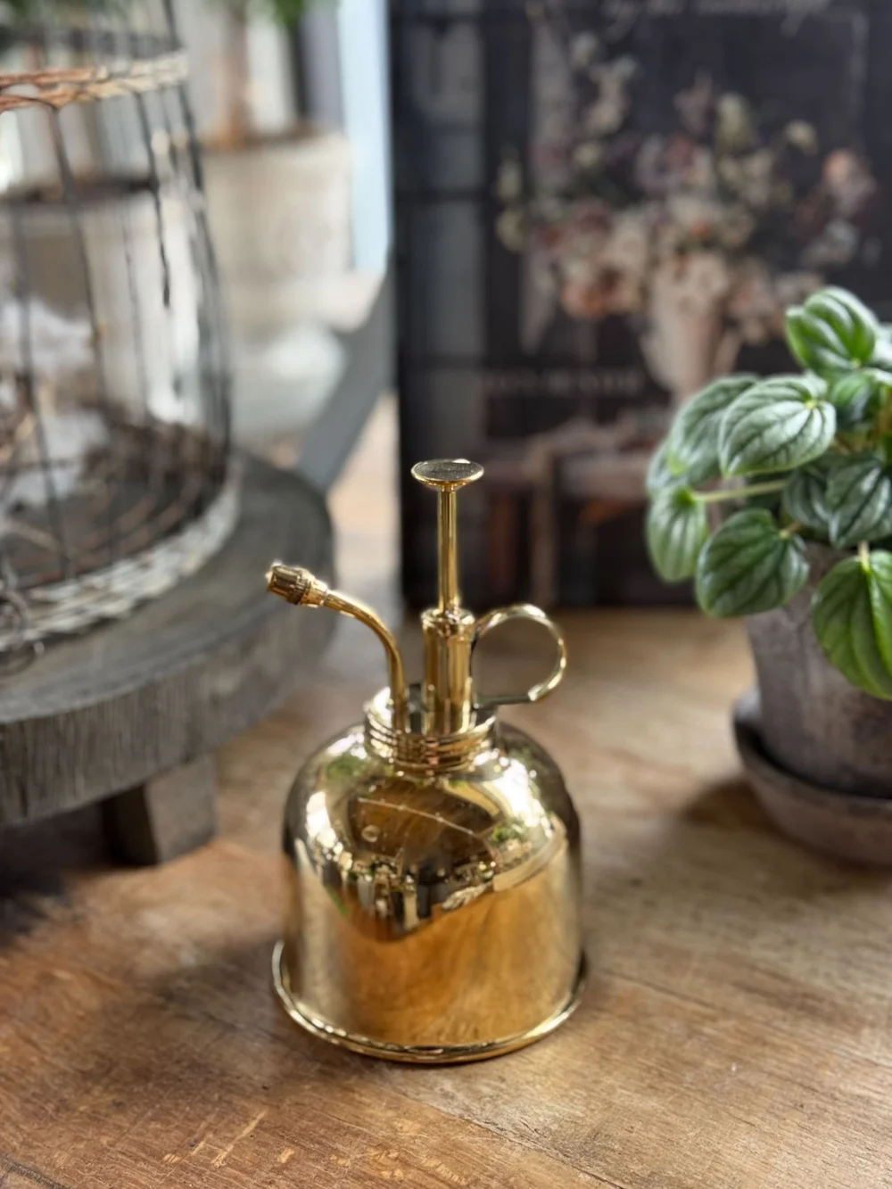 Copper Plant Mister | Plant Watering Sprayer Spritzer Bottle