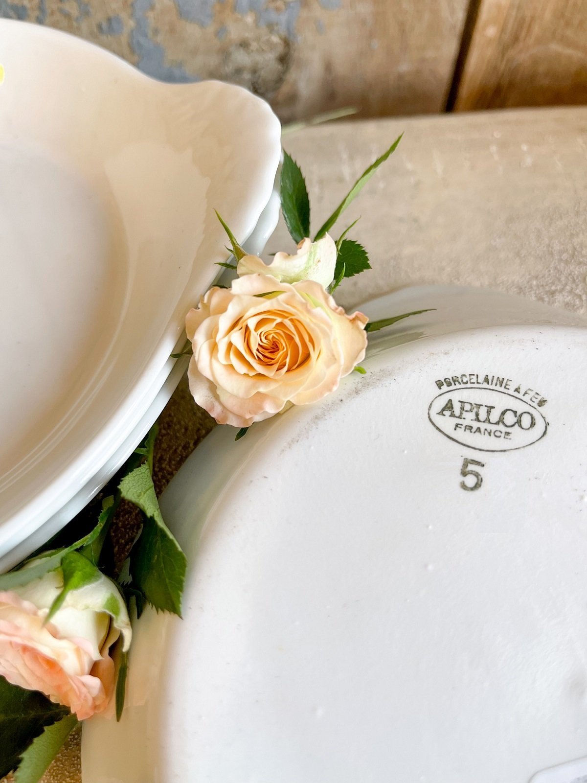 apilco-au-gratin-5-baking-dish.jpg
