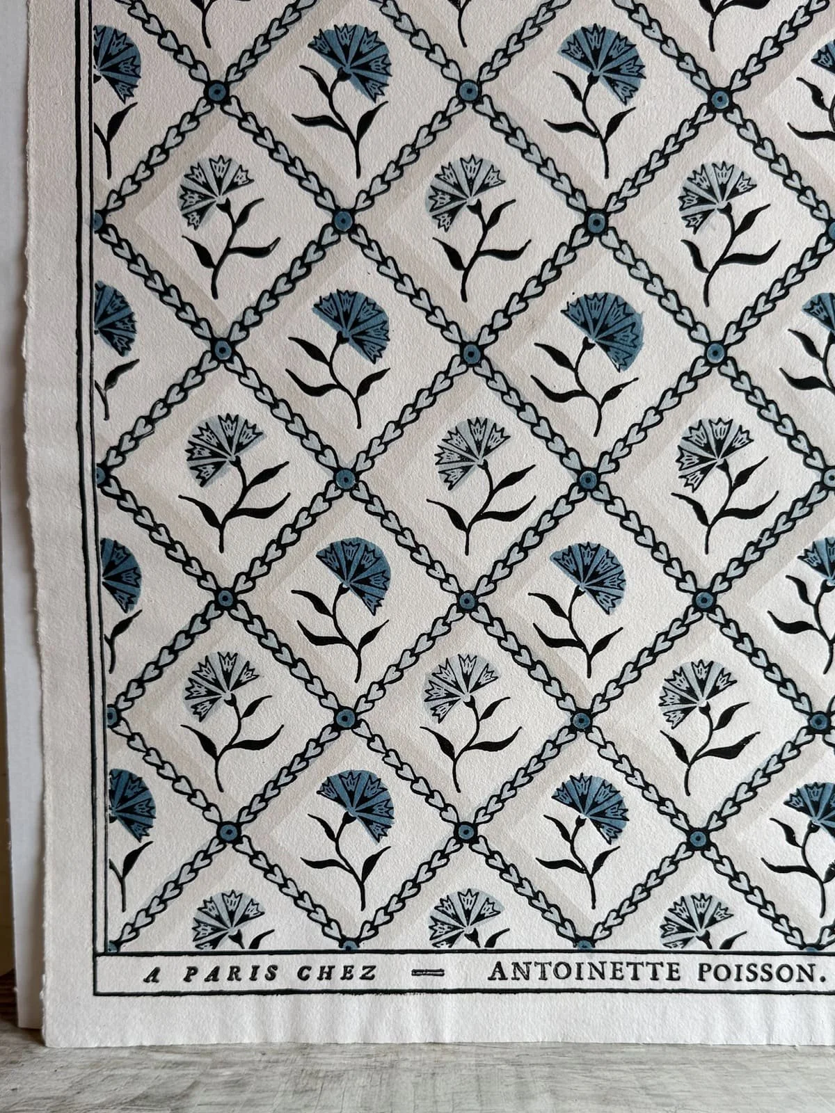 antoinette-poisson-french-domino-print-53B-oeillets-1.jpeg