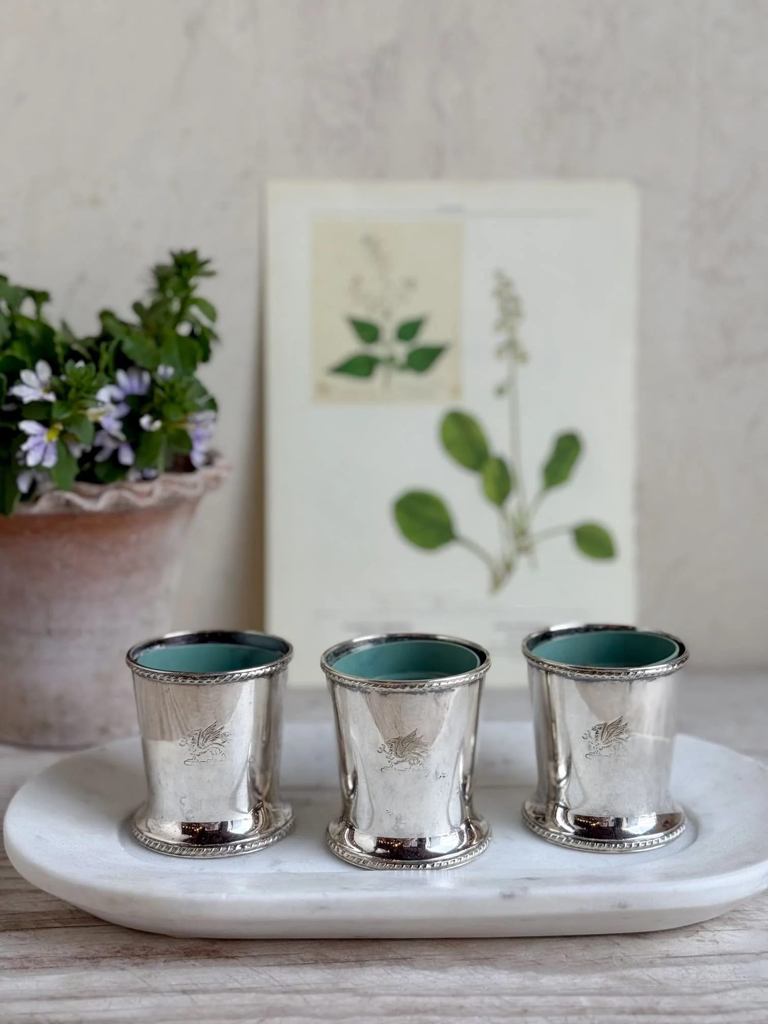 silver-vase-plant-pot-container-engraved-phoenix.jpg