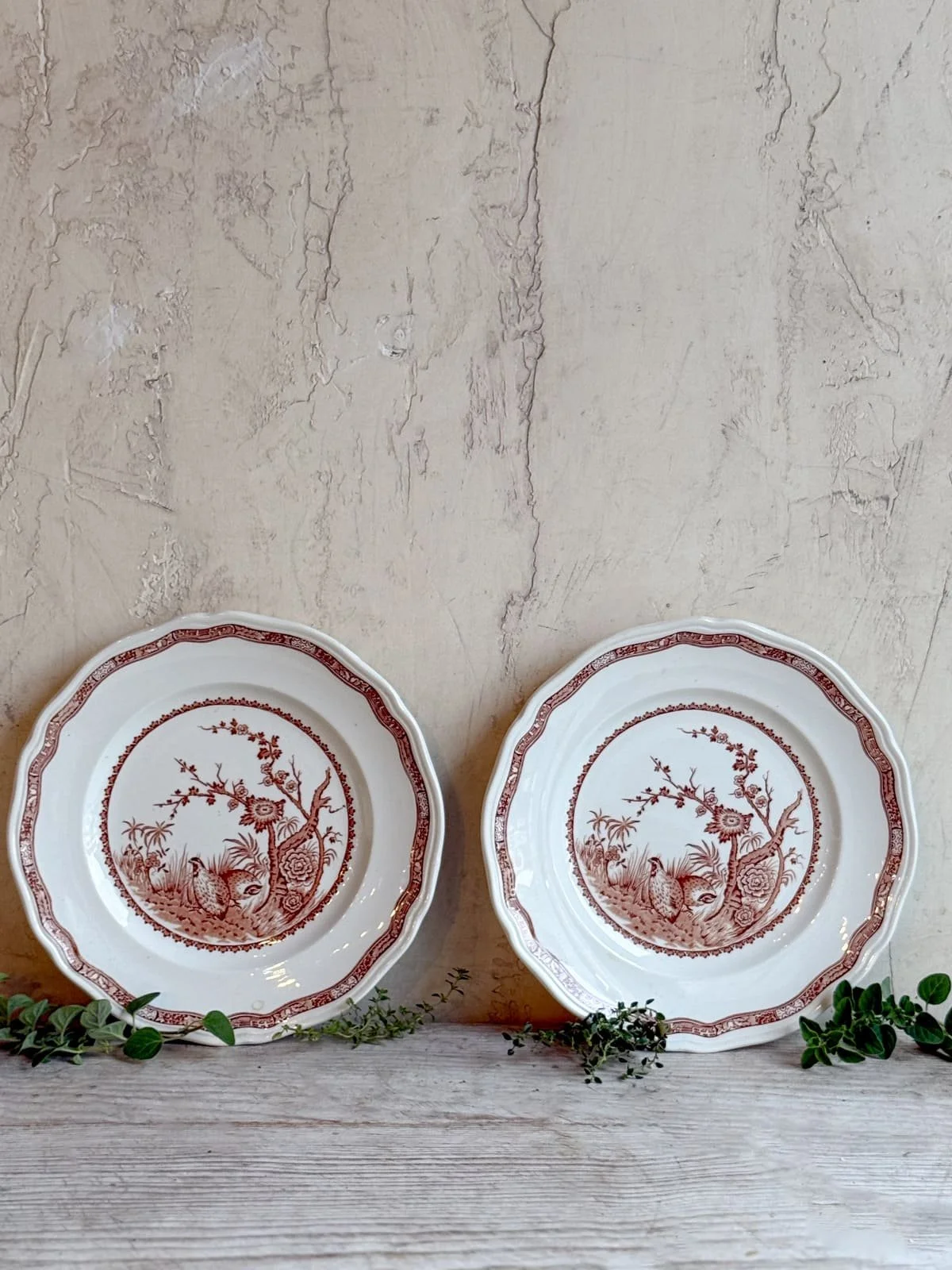 vintage-furnivals-ironstone-brown-transferware-quail-plates.jpg