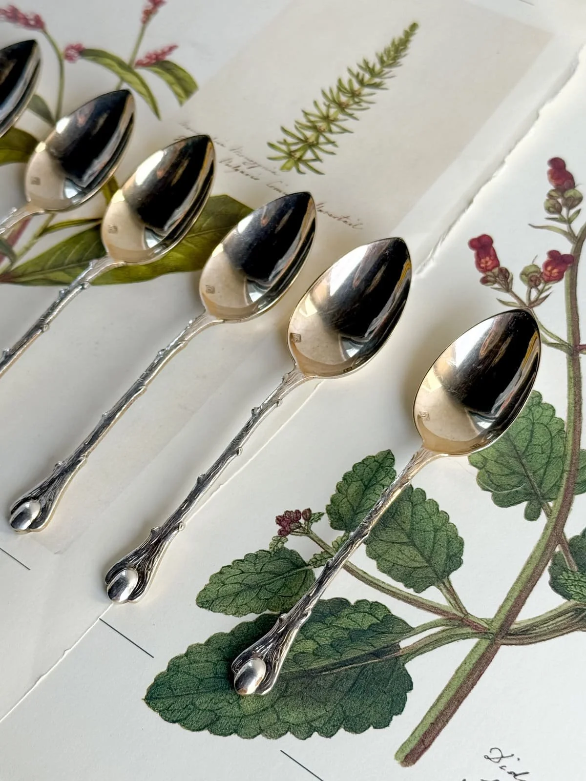 Mid-Century Silver Demitasse Moka Spoons | Set of 6  Coffee Bean & Branch Cafe Spoons