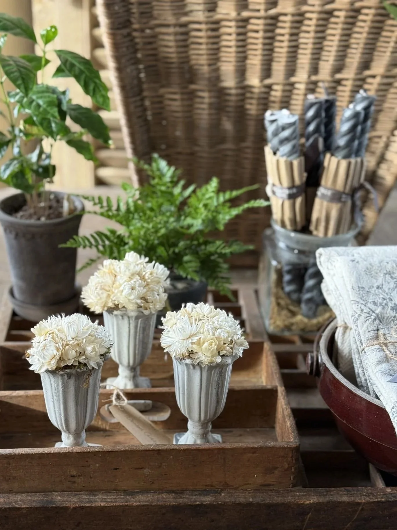 les-fleurs-inside-the-shop-fall-2025-french-antique-basket-potted-plants-candle-tapers.jpg