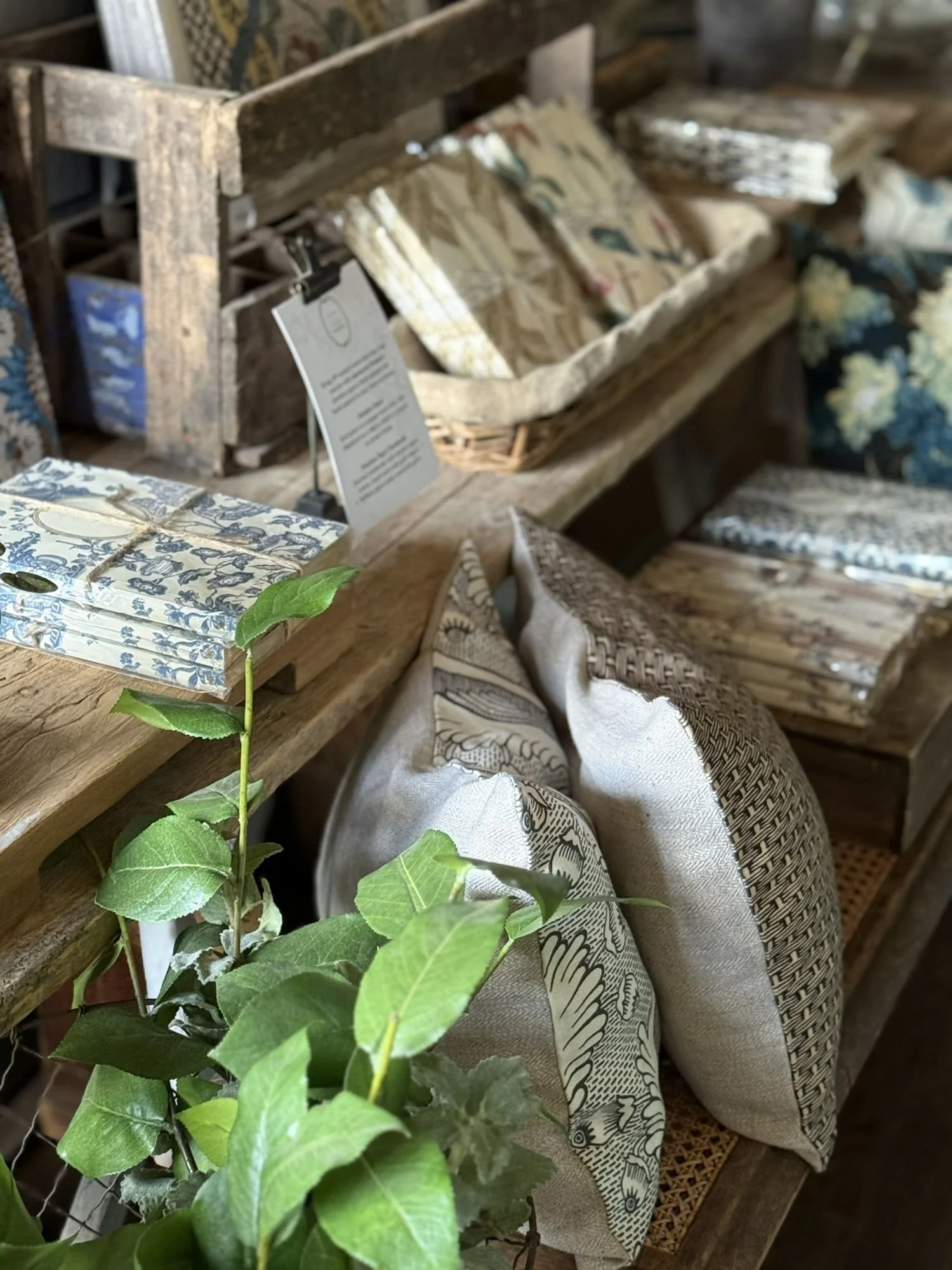 domino paper notebooks antoinette poisson pillows