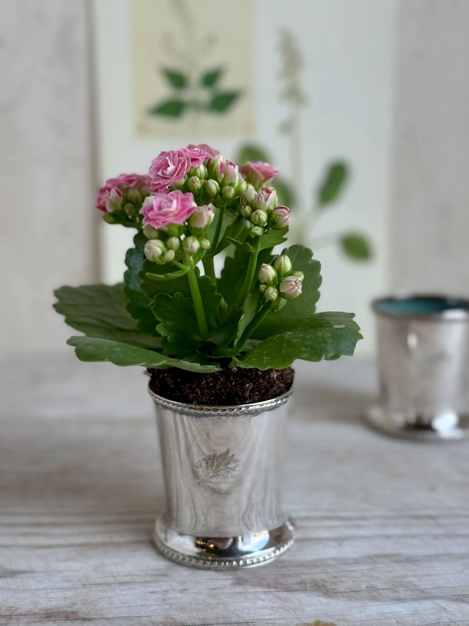 silver-bud-vase-plant-pot-container-engraved-phoenix-design.jpg