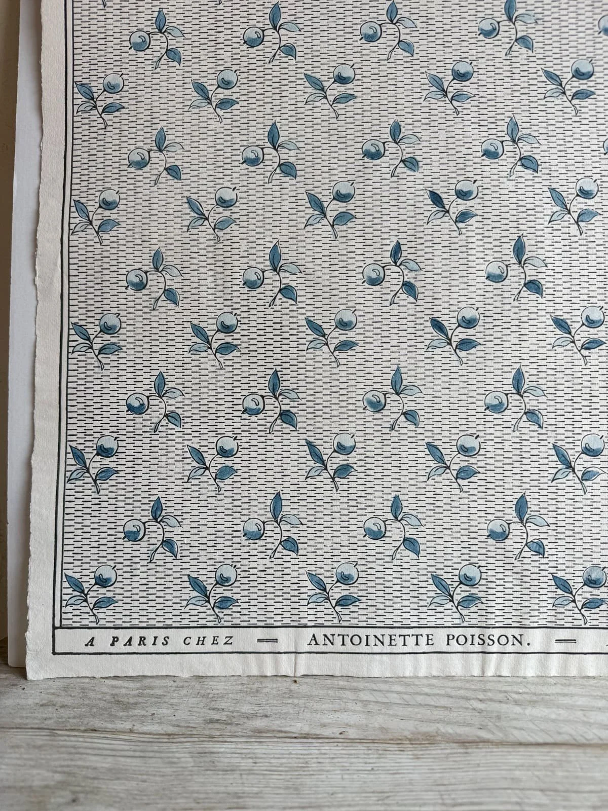 antoinette-poisson-french-domino-print-56b-blue-berries-1.jpeg