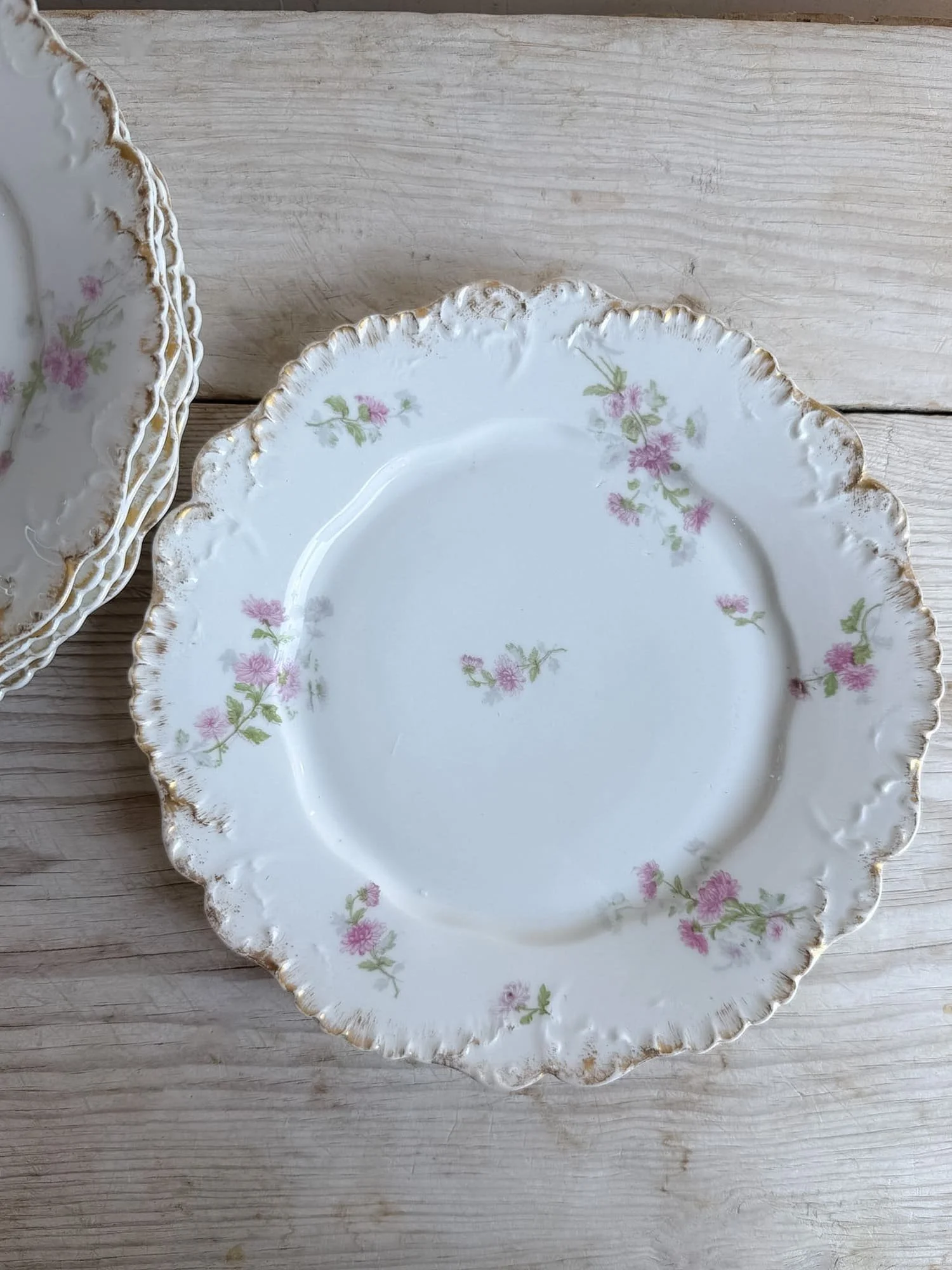 antique-french-porcelain-limoges-floral-plates (3).jpg