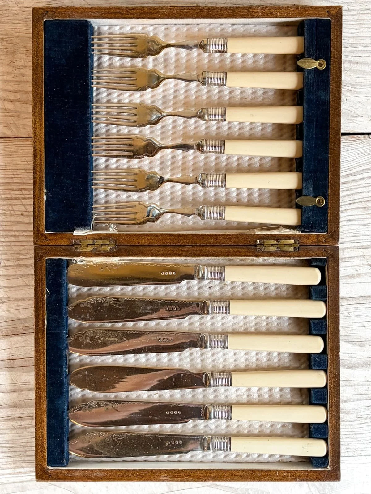 fish-utensil-set-silverplate-bone handles.jpg