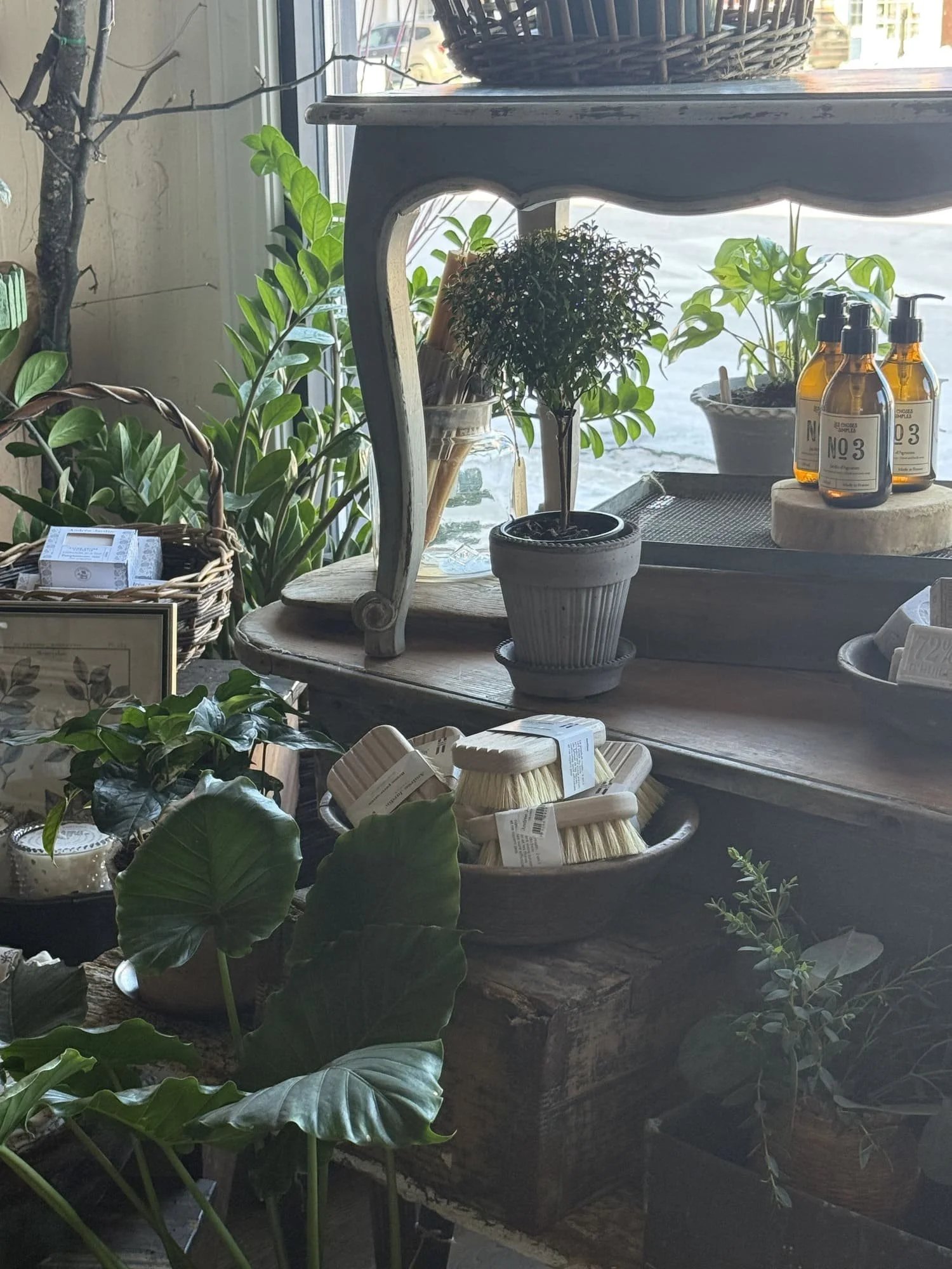 potted plants french marseille soap bath brush hobnail candles