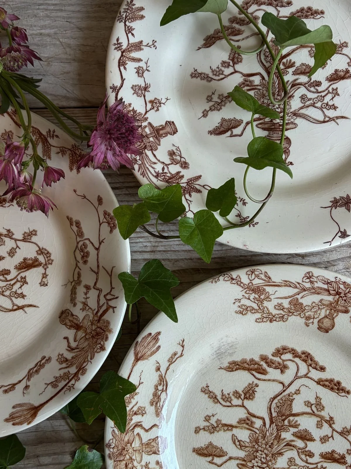 Vintage Terre de Fer French Ironstone Dinner Plates | Brown Floral Transferware
