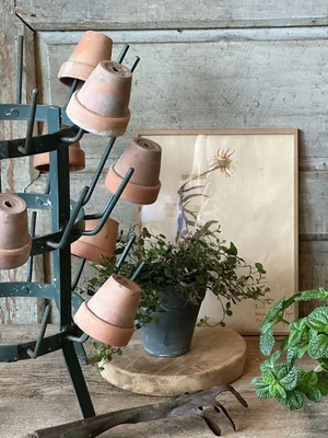 rope hanging planter Greenstell 3 Pcs Macrame Plant Hangers and Hand-woven Seagrass Hanging  Planter White
