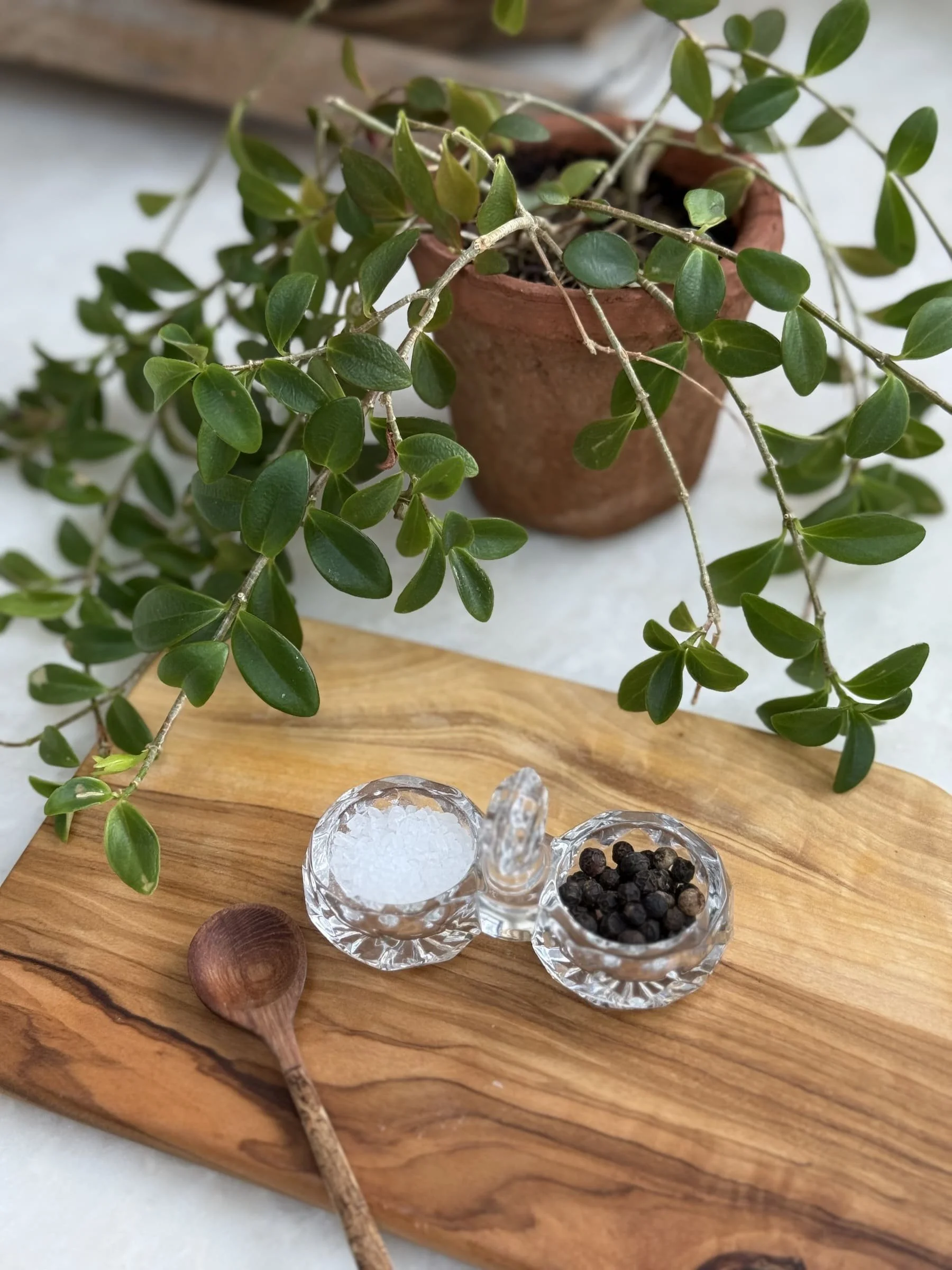 vintqge-cut-glass-salt-pepper-cellar-server-dish (1).jpg