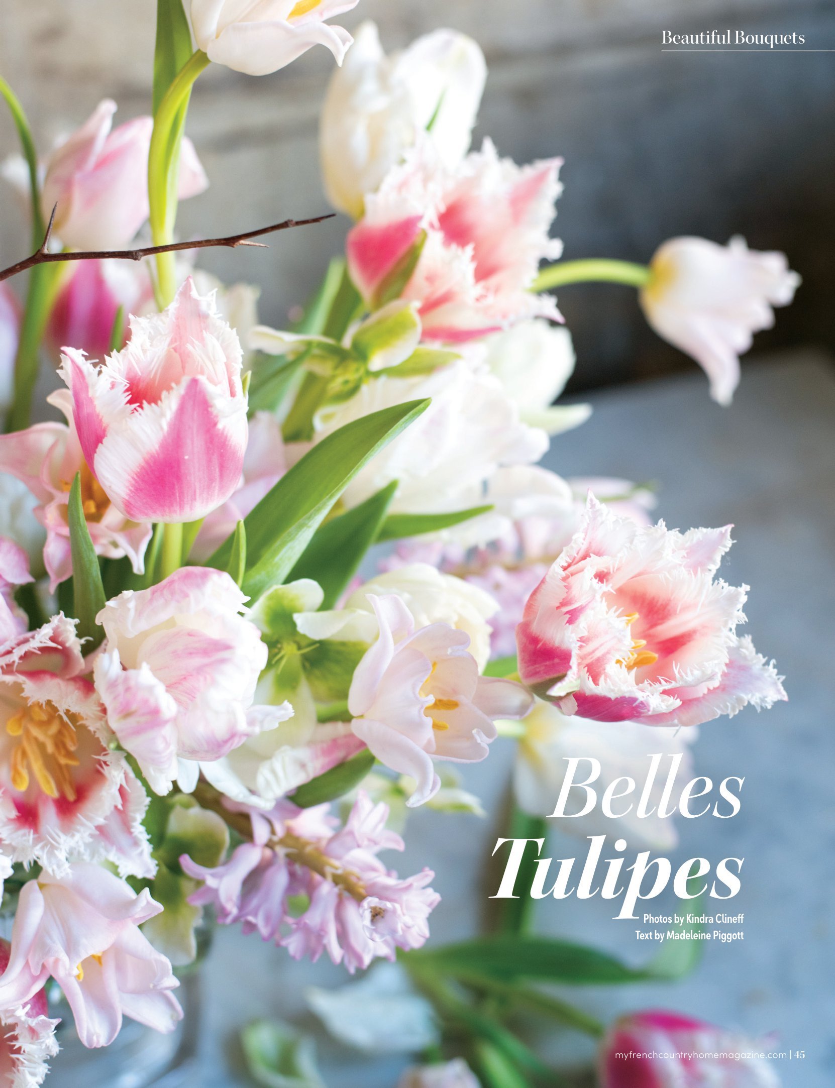 My French Country Home Magazine: Belles Tulipes