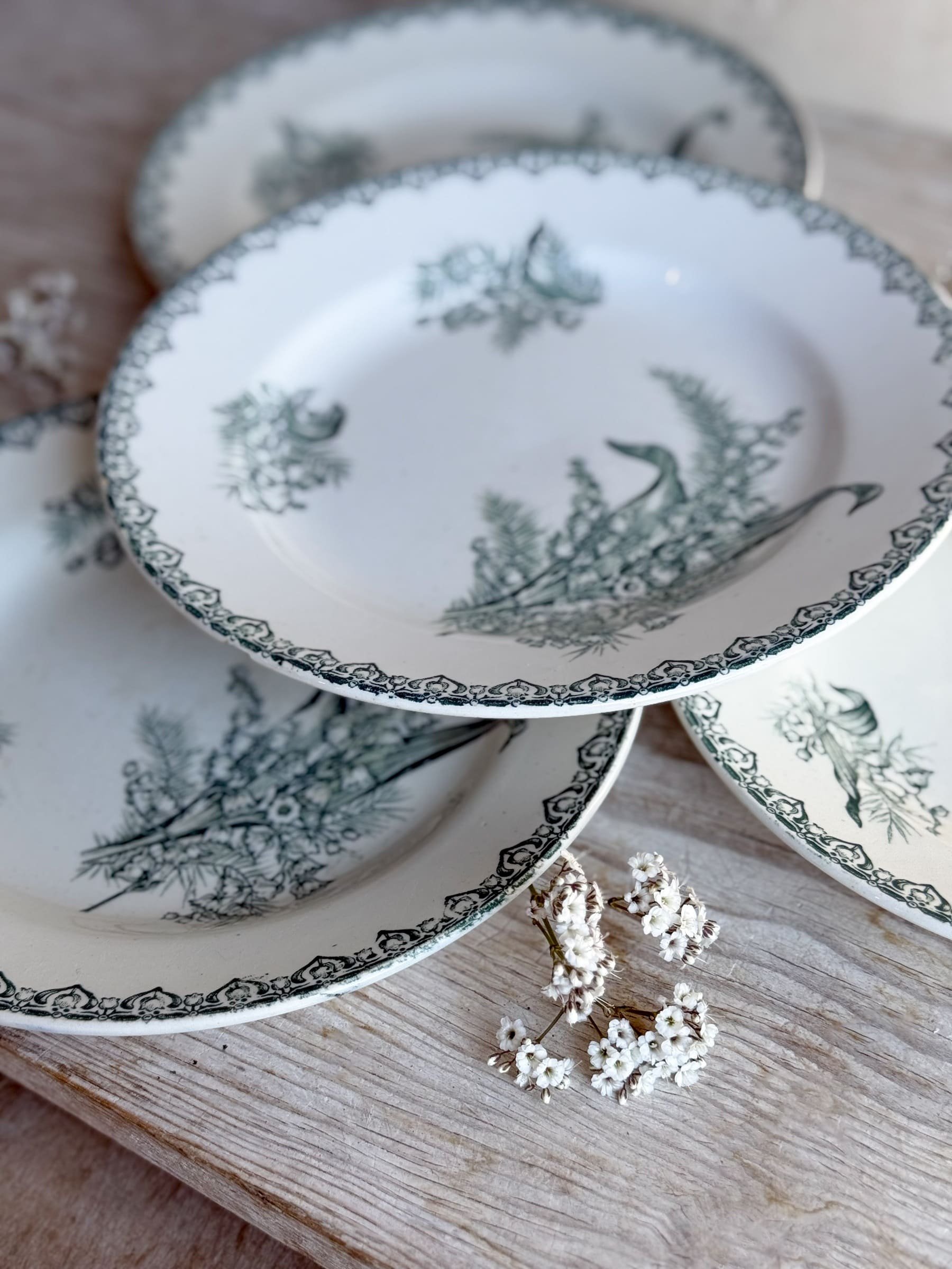 french-ironstone-terre-de-fer-lily-of-the-valley-muguet-plates (1).jpg