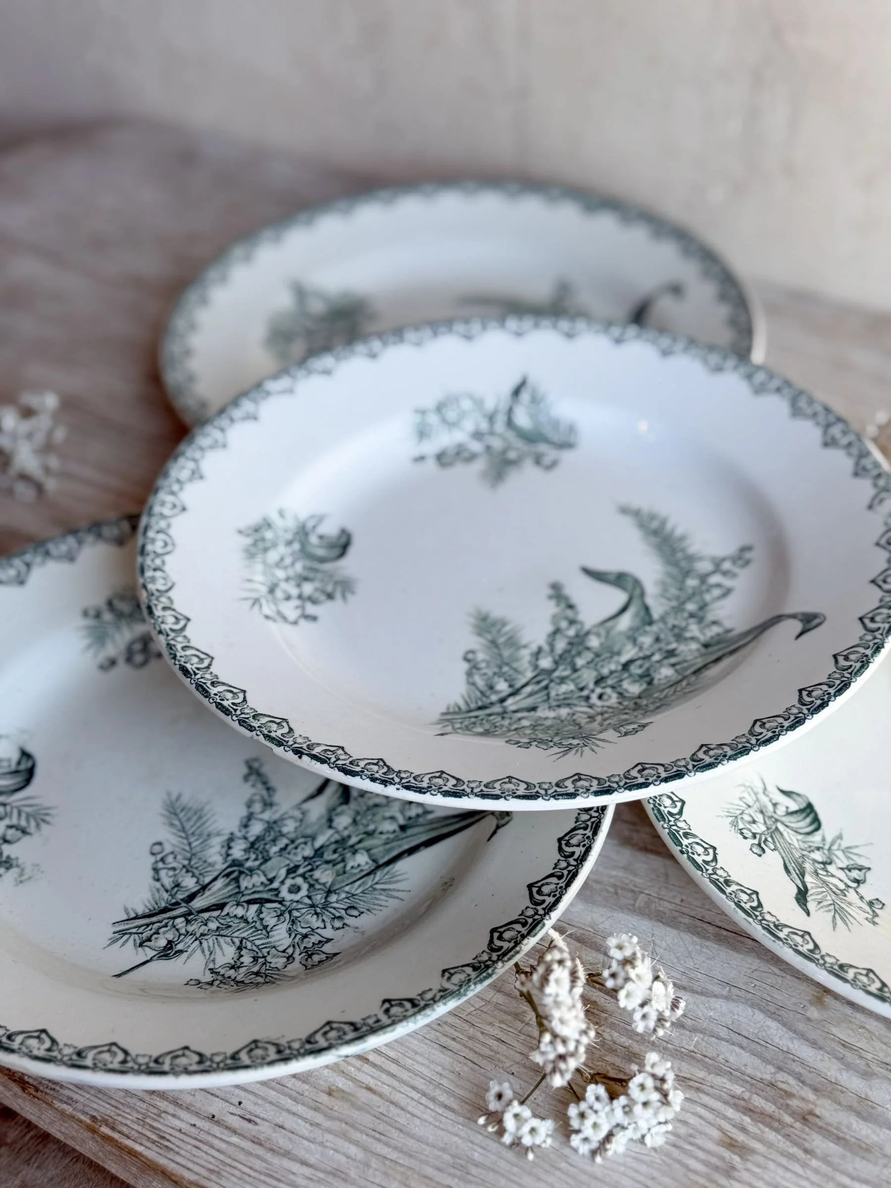 french-ironstone-terre-de-fer-lily-of-the-valley-muguet-plates (2).jpg