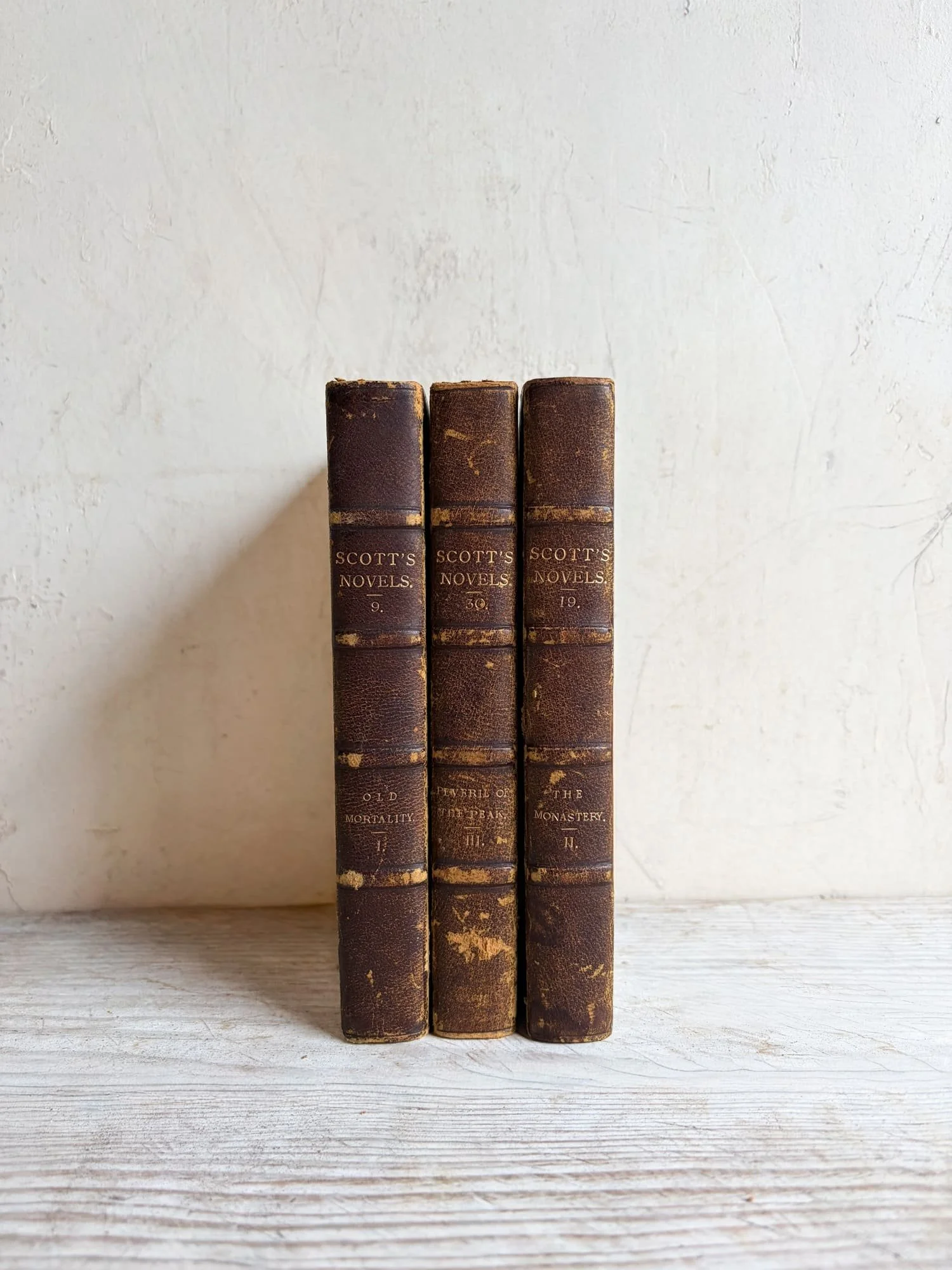 antique-book-waverley-novels-sir-walter-scott-collection-19th-century-rare-books-3.jpeg