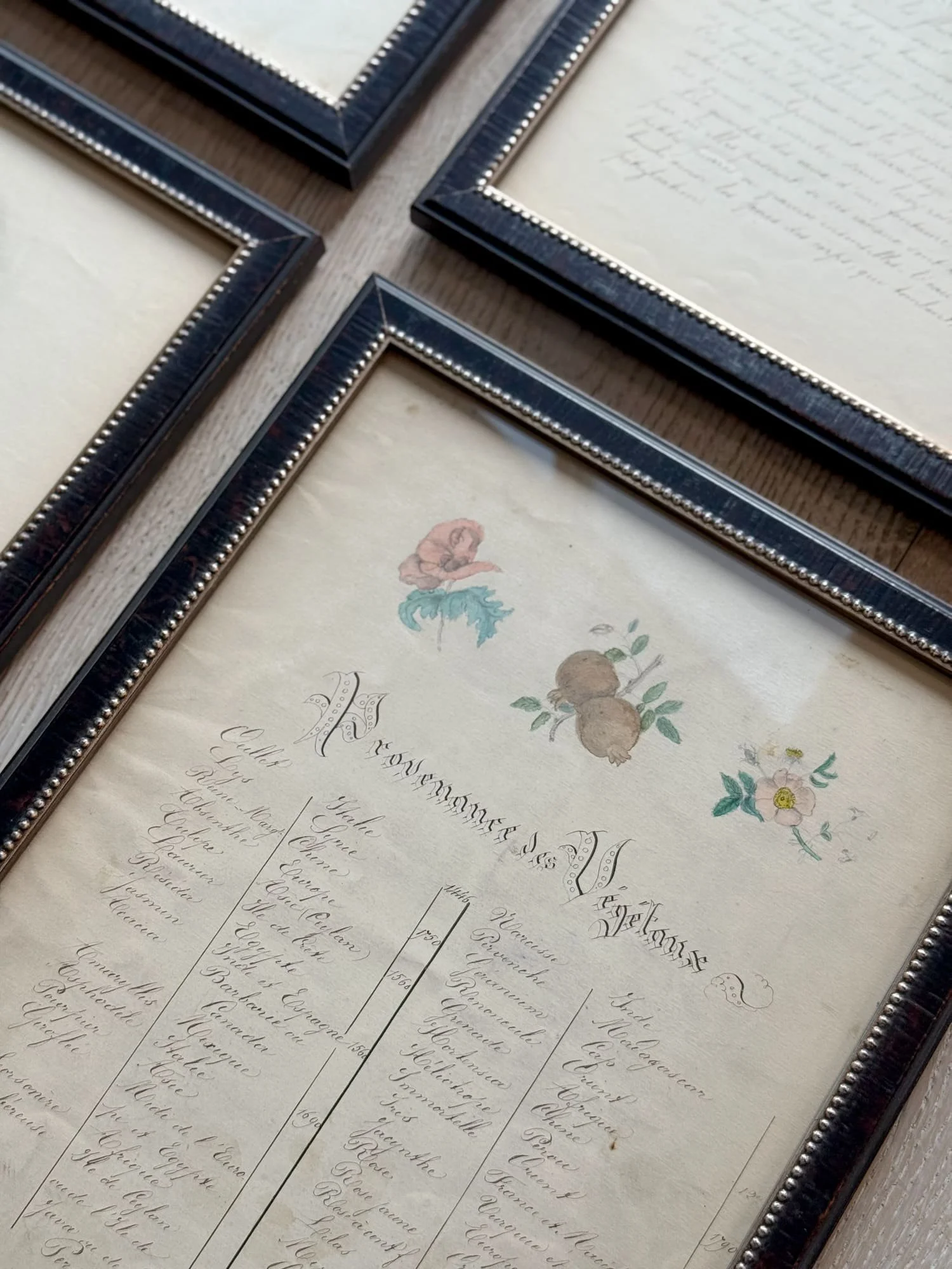 antique-handwritten-french-agricultural-manuscript-document-framed.jpg