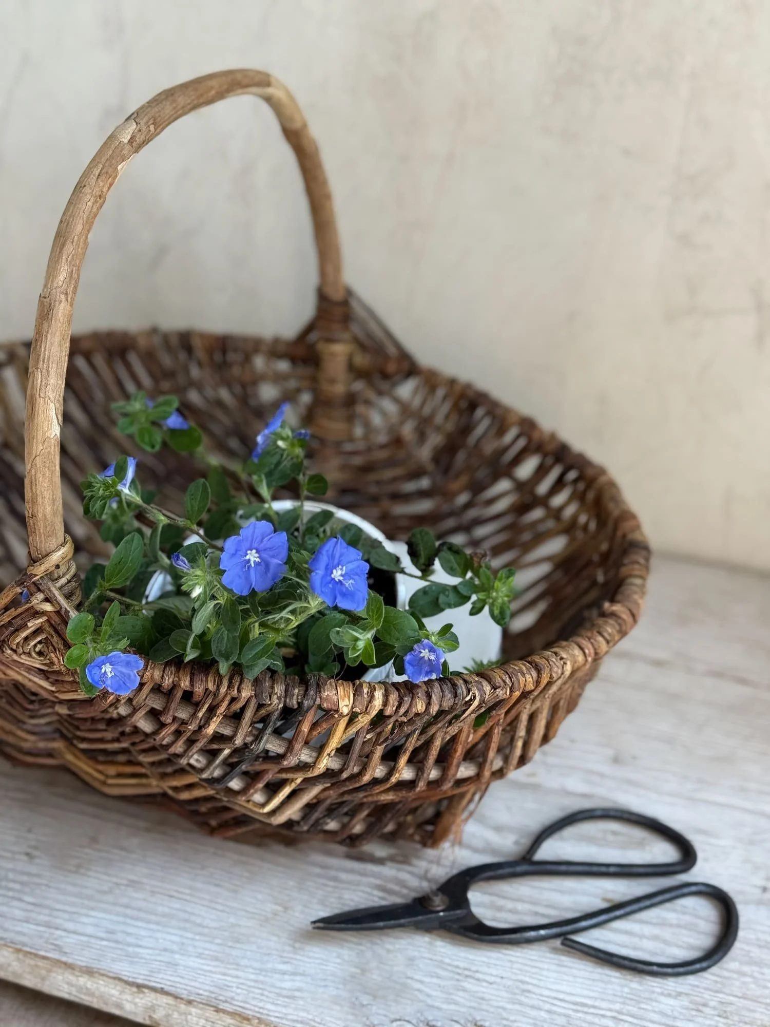 antique-french-wicker-gathering-baskets (7).jpg