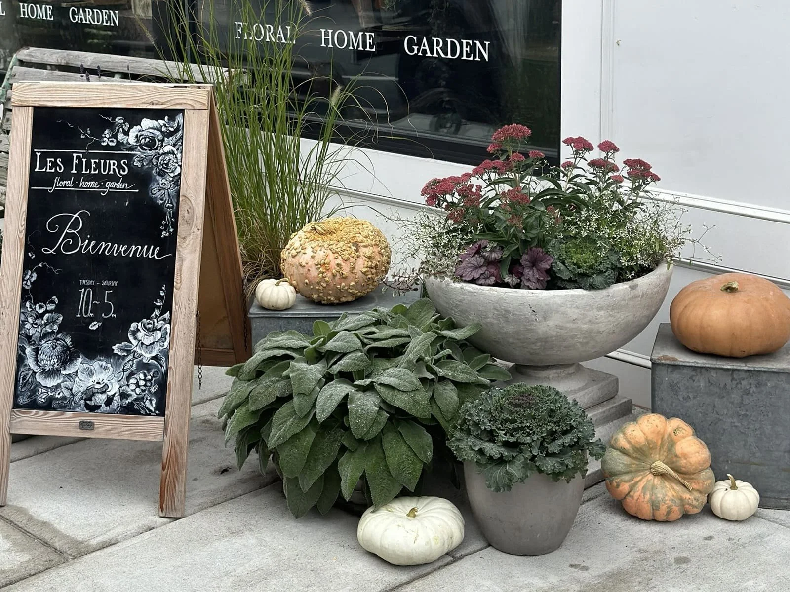 outdoor plants front porch planters