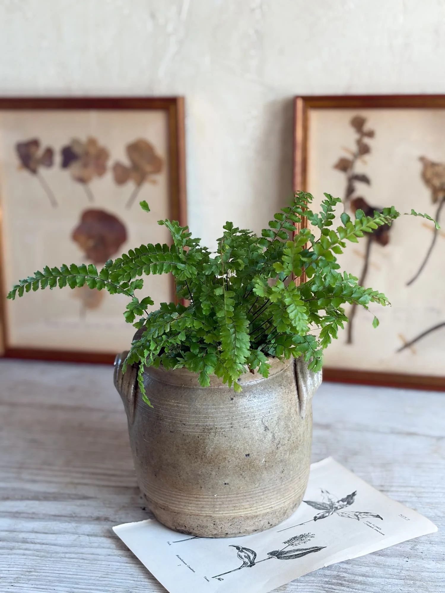 Vintage French Stoneware Confit Jars | Salt-Glazed Earthenware Crock