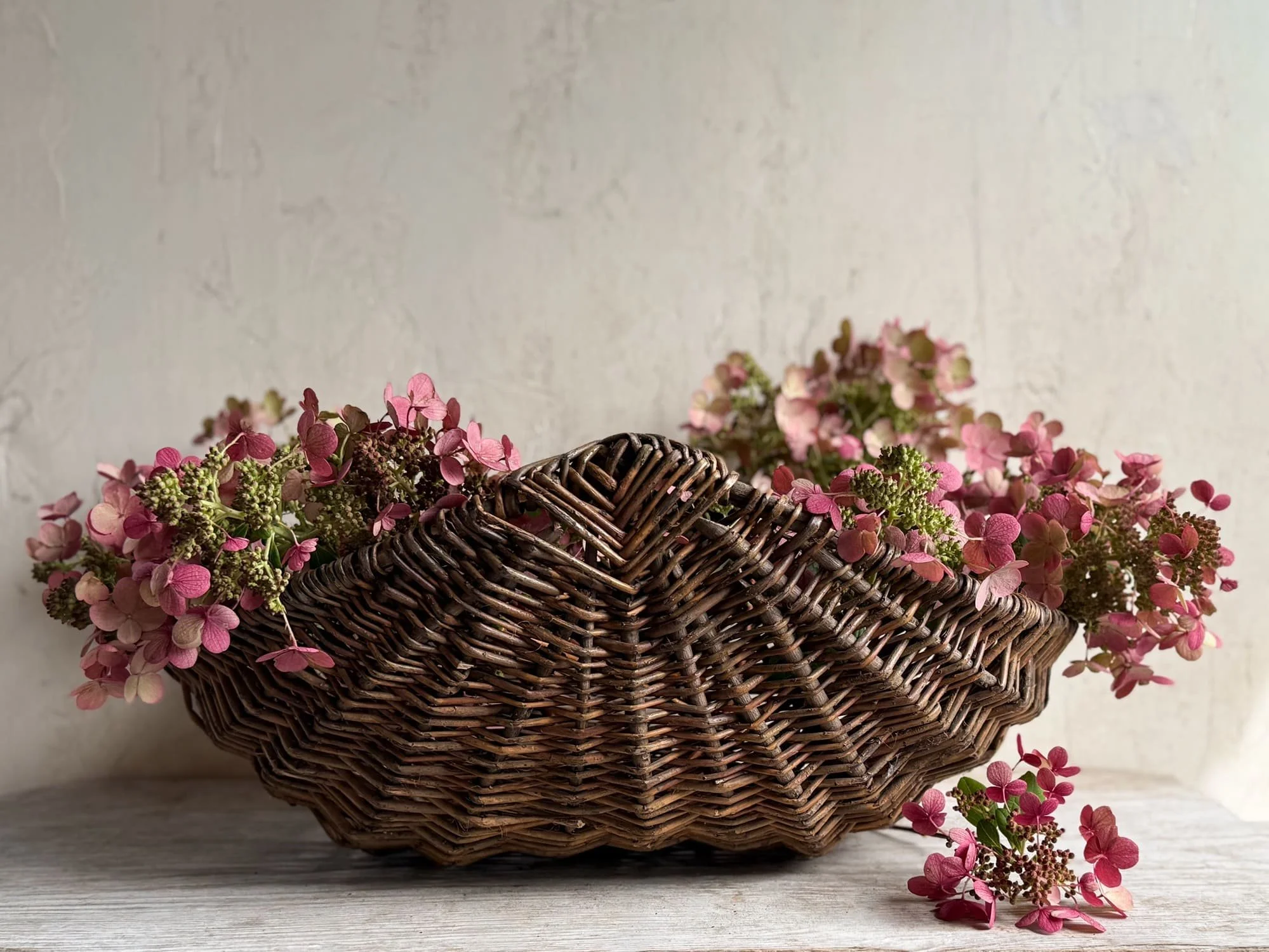 antique-french-willow-wicker-gathering-basket-flat-handle (4).jpg