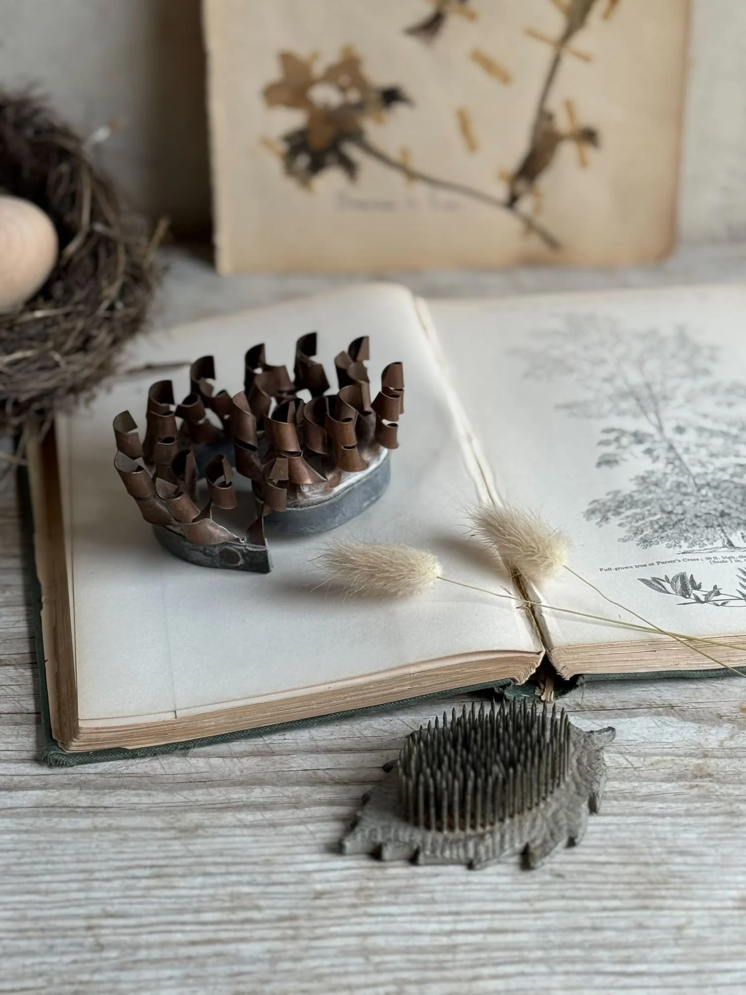 vintage-copper-coil-flower-frog-leaf-pin-floral-arranging-frog.jpg