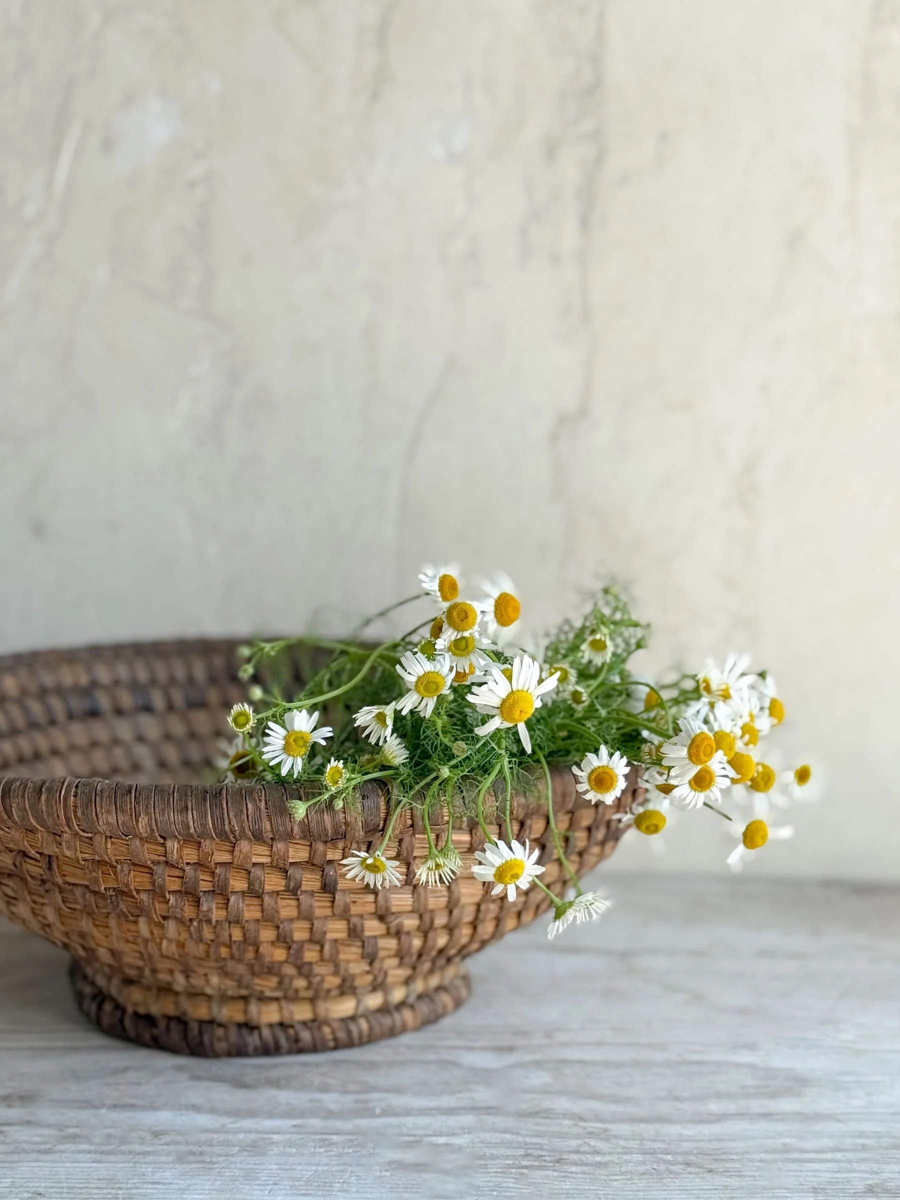 vintage-french-bourgne-wicker-splint-basket-bowl.jpg