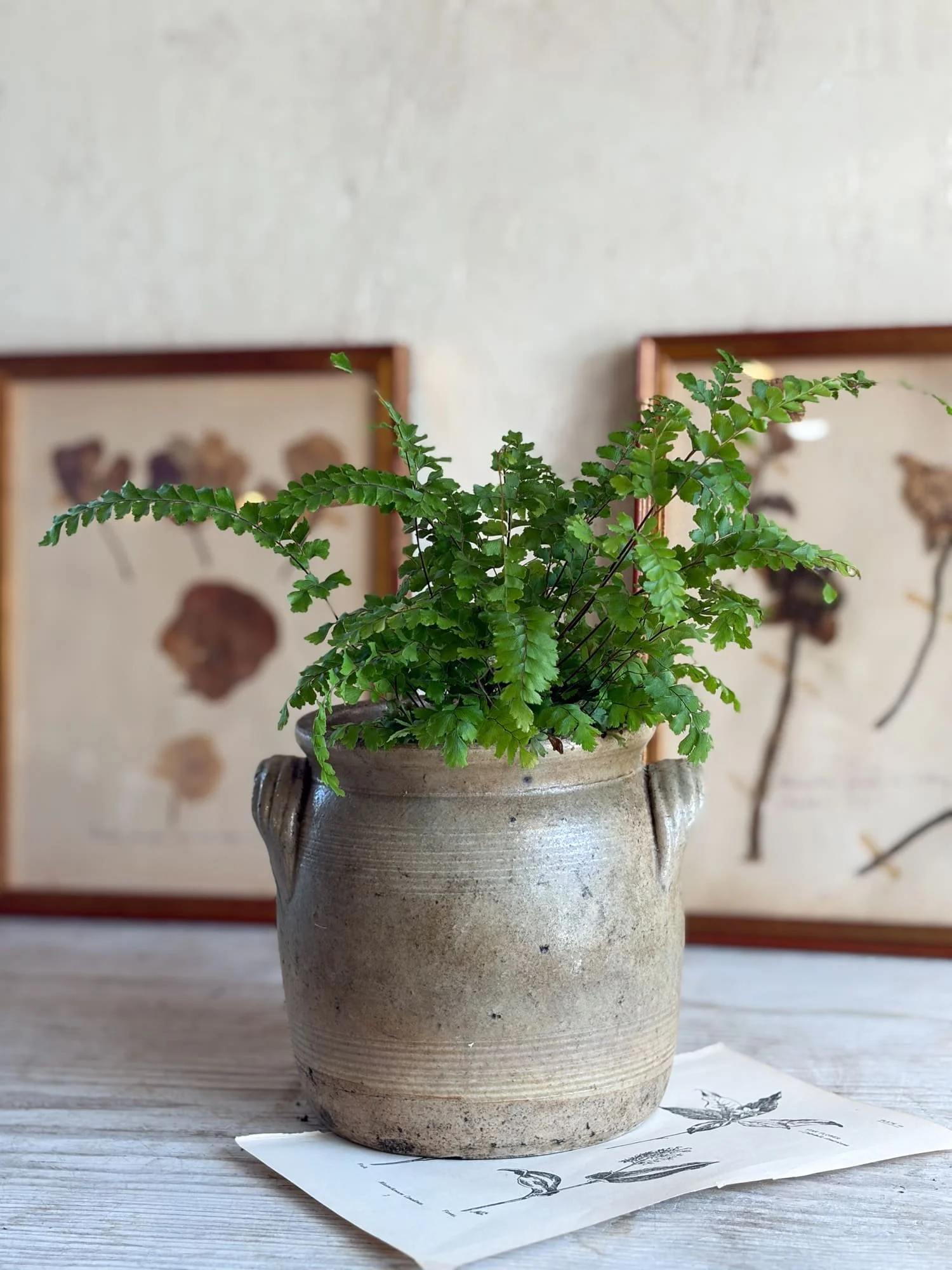 french-salt-glazed-confit-pot-crock (4).jpg