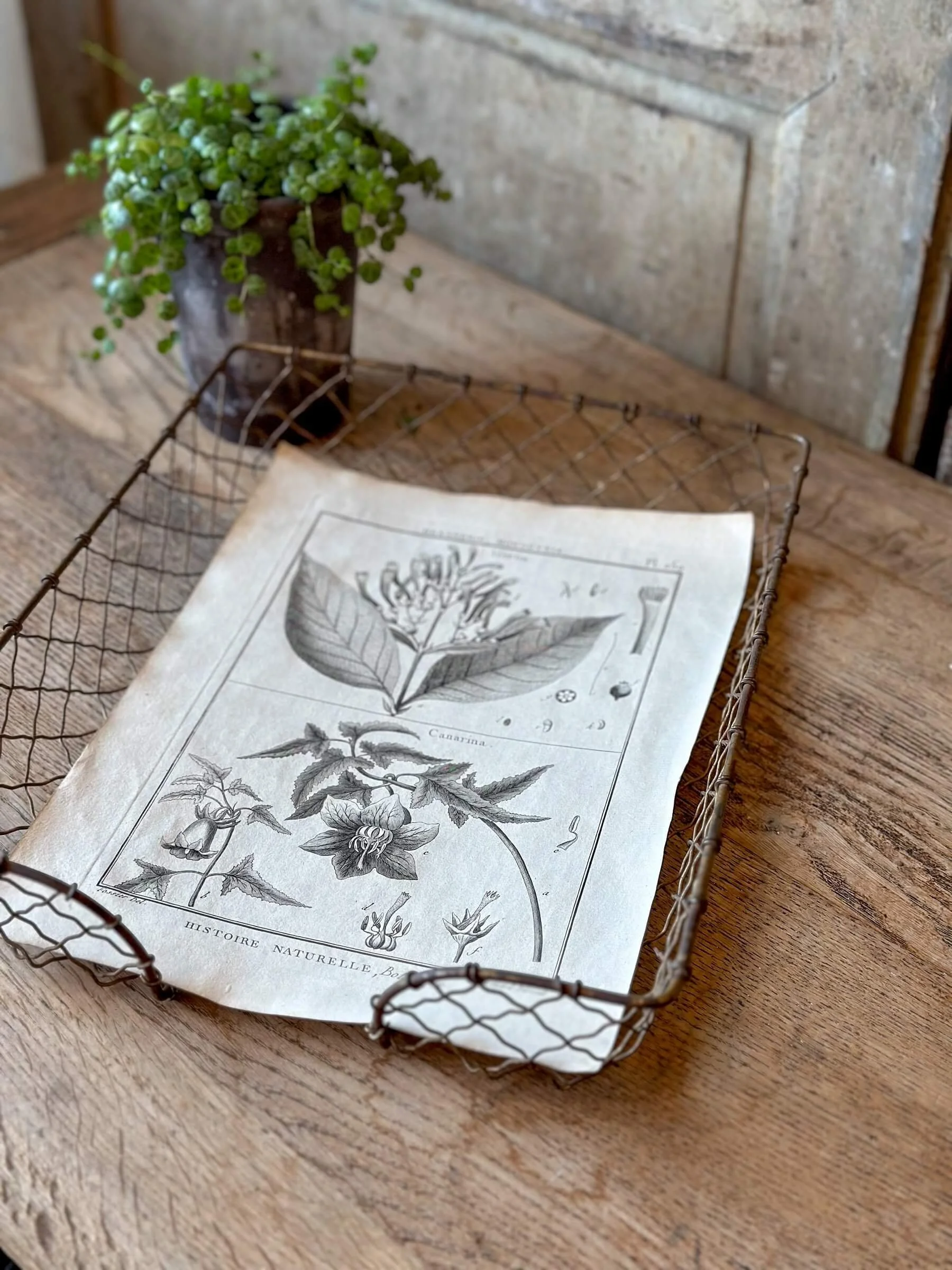 Vintage French Wire In/Out Letter Tray Paper File Organizer Catch