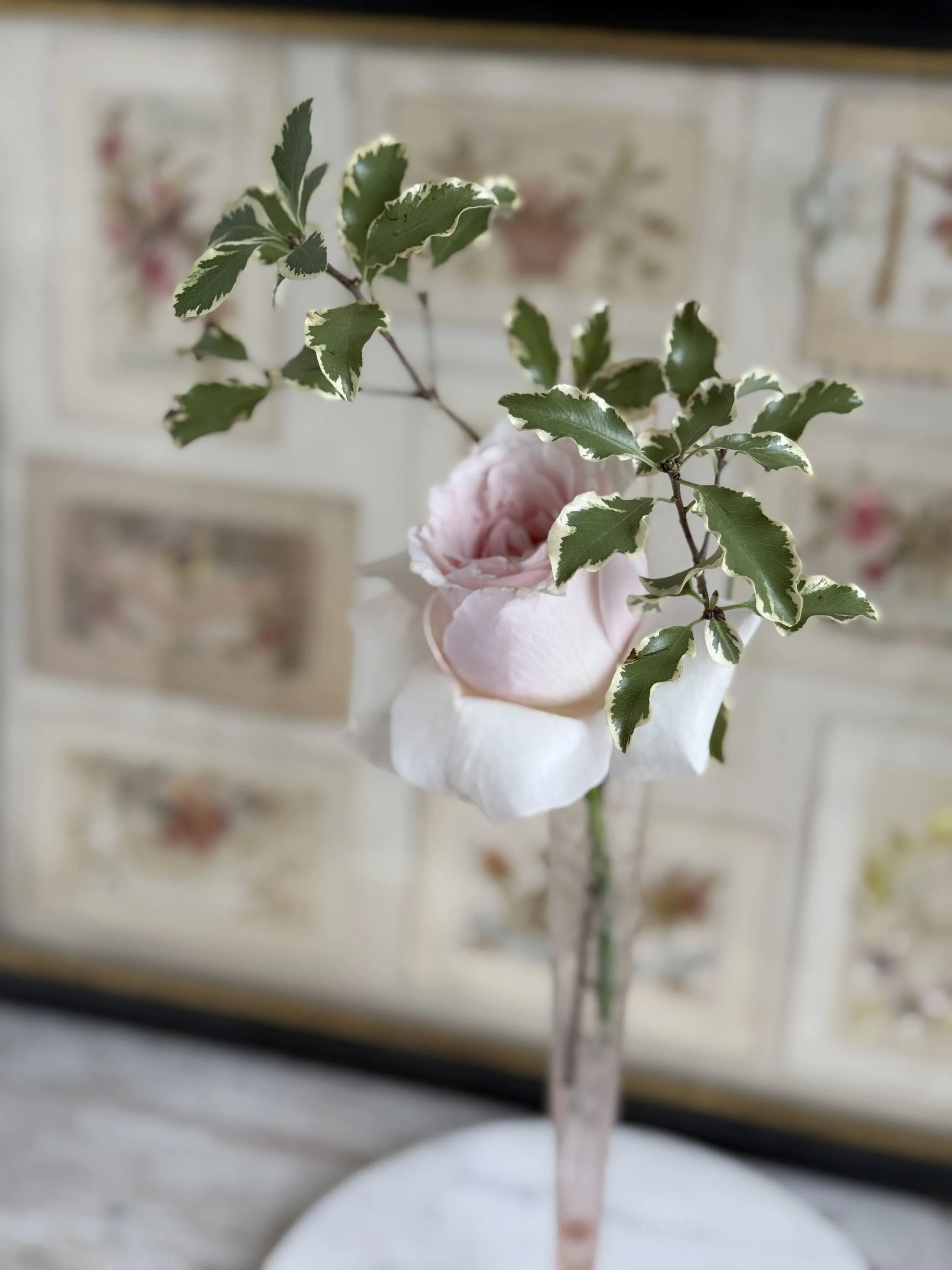 vintage-pink-etched-glass-tall-trumpet-vase (3).jpg