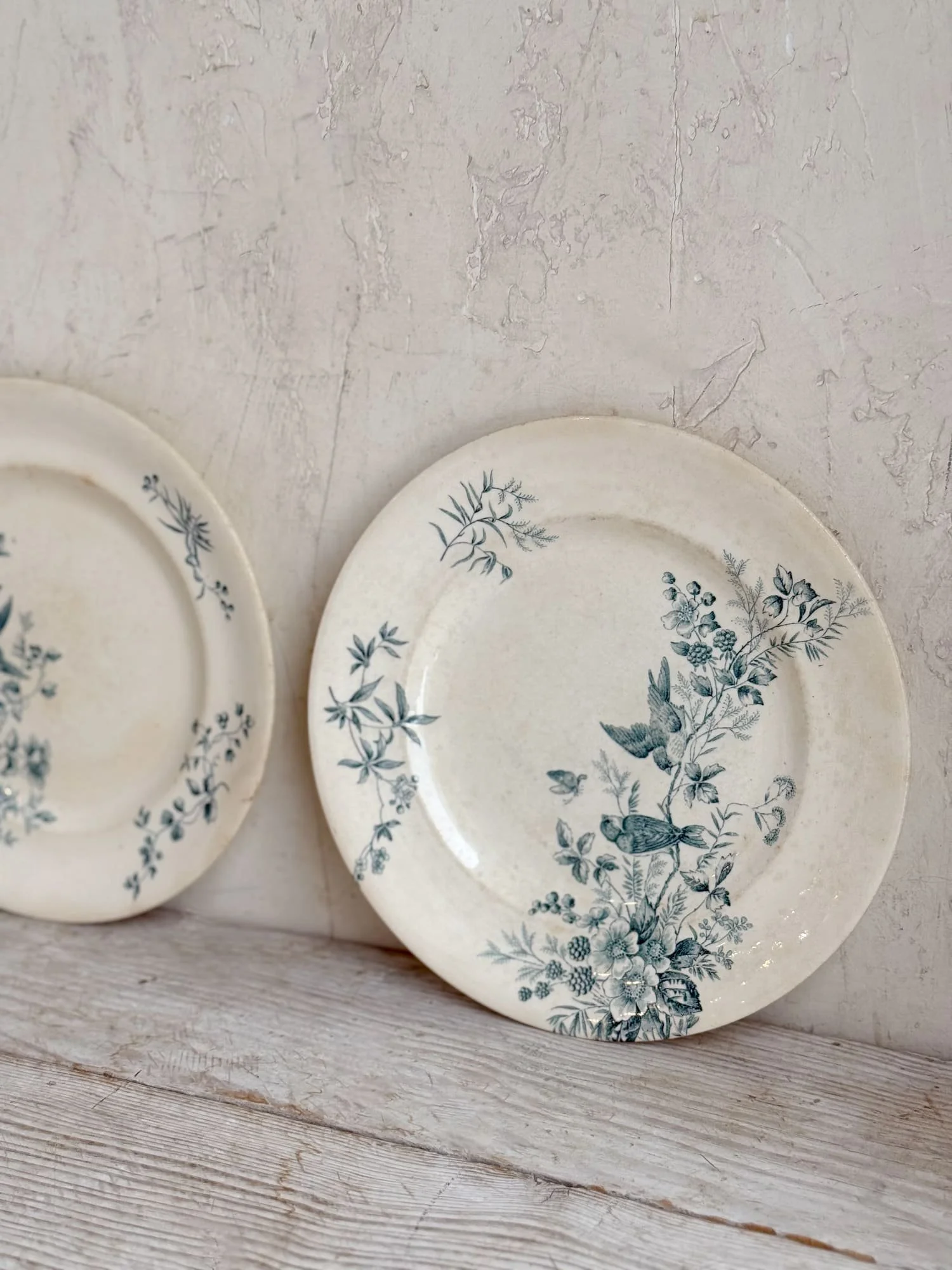 Antique French Ironstone Terre de Fer Earthenware Plate | Longwy Mignon Pattern